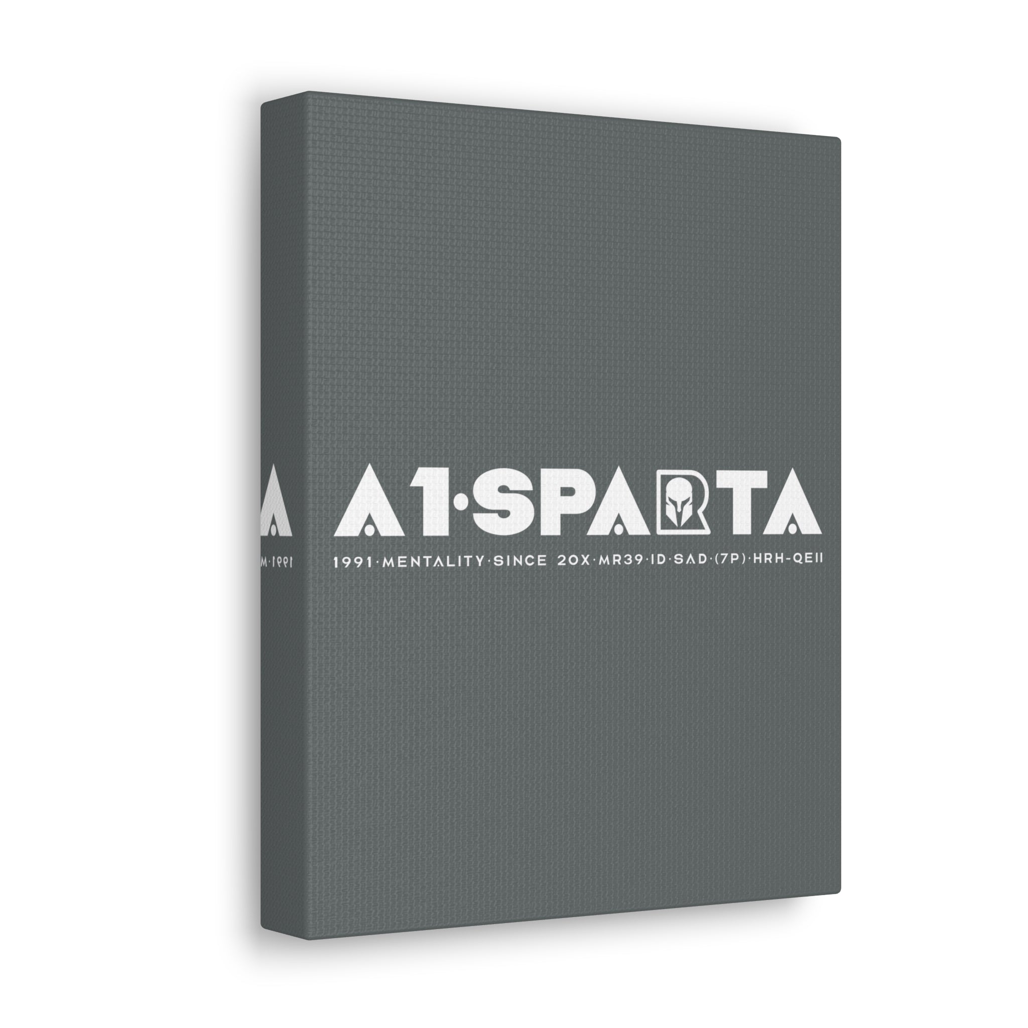 Canvas Gallery Wraps (A1•SPARTA RANGE)