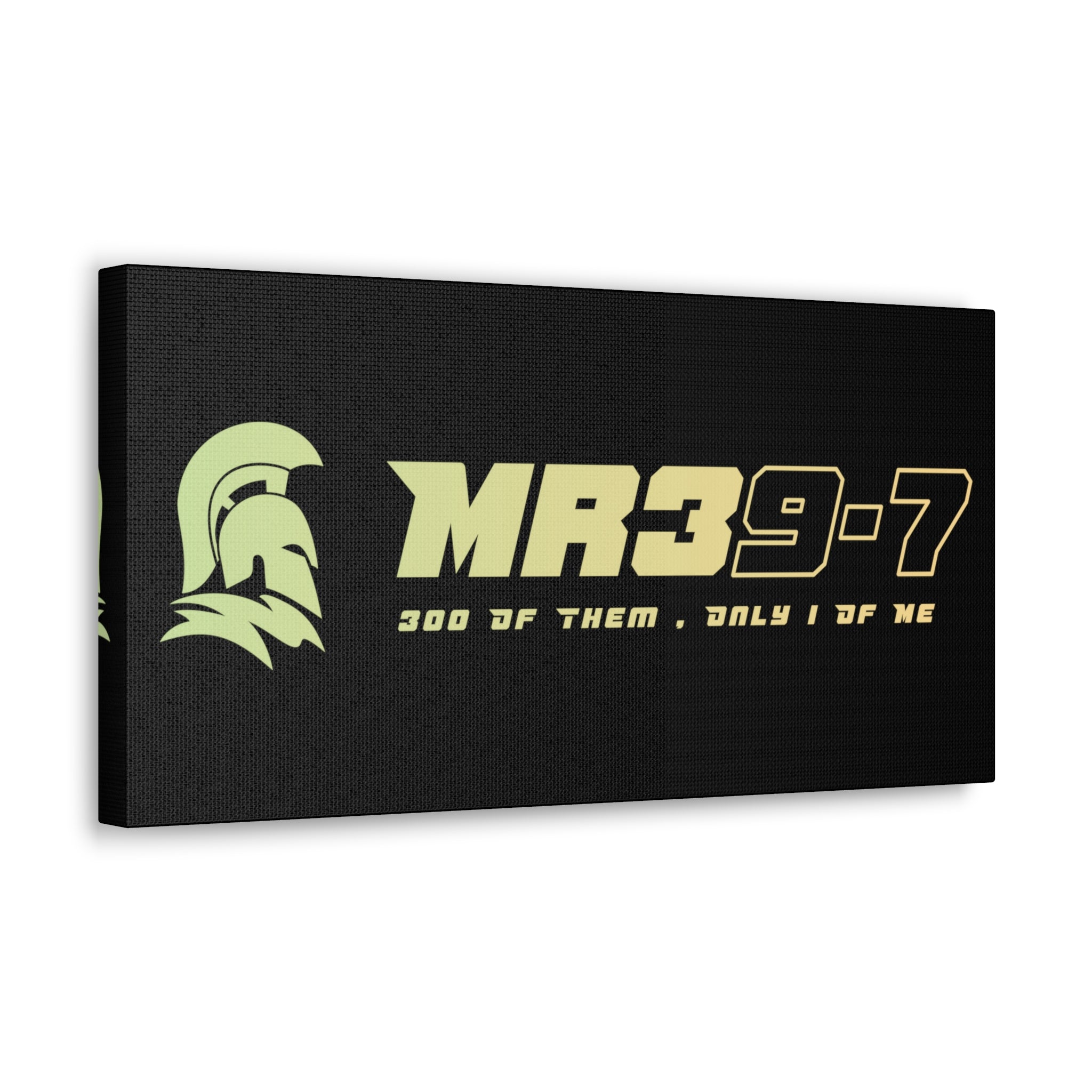 Canvas Gallery Wraps (A1•SPARTA RANGE)