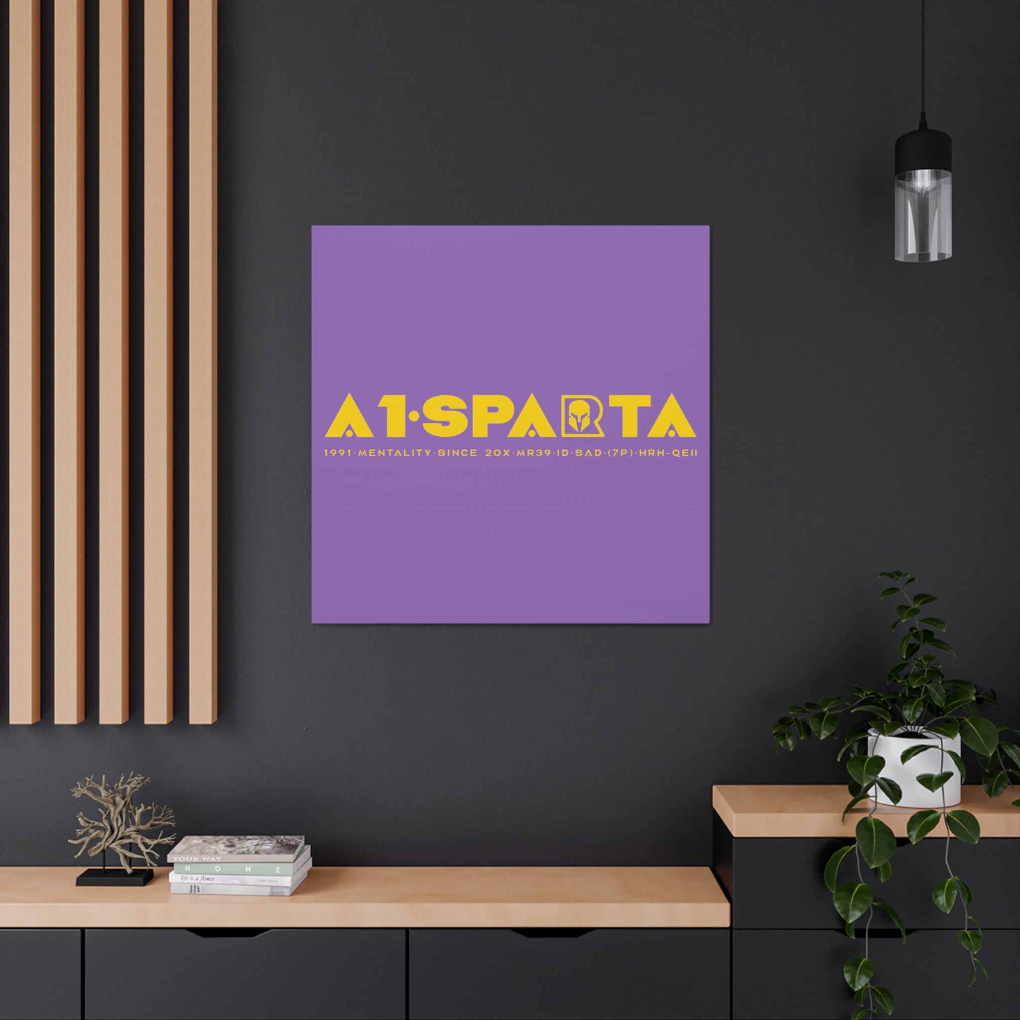 Canvas Gallery Wraps (A1•SPARTA RANGE)