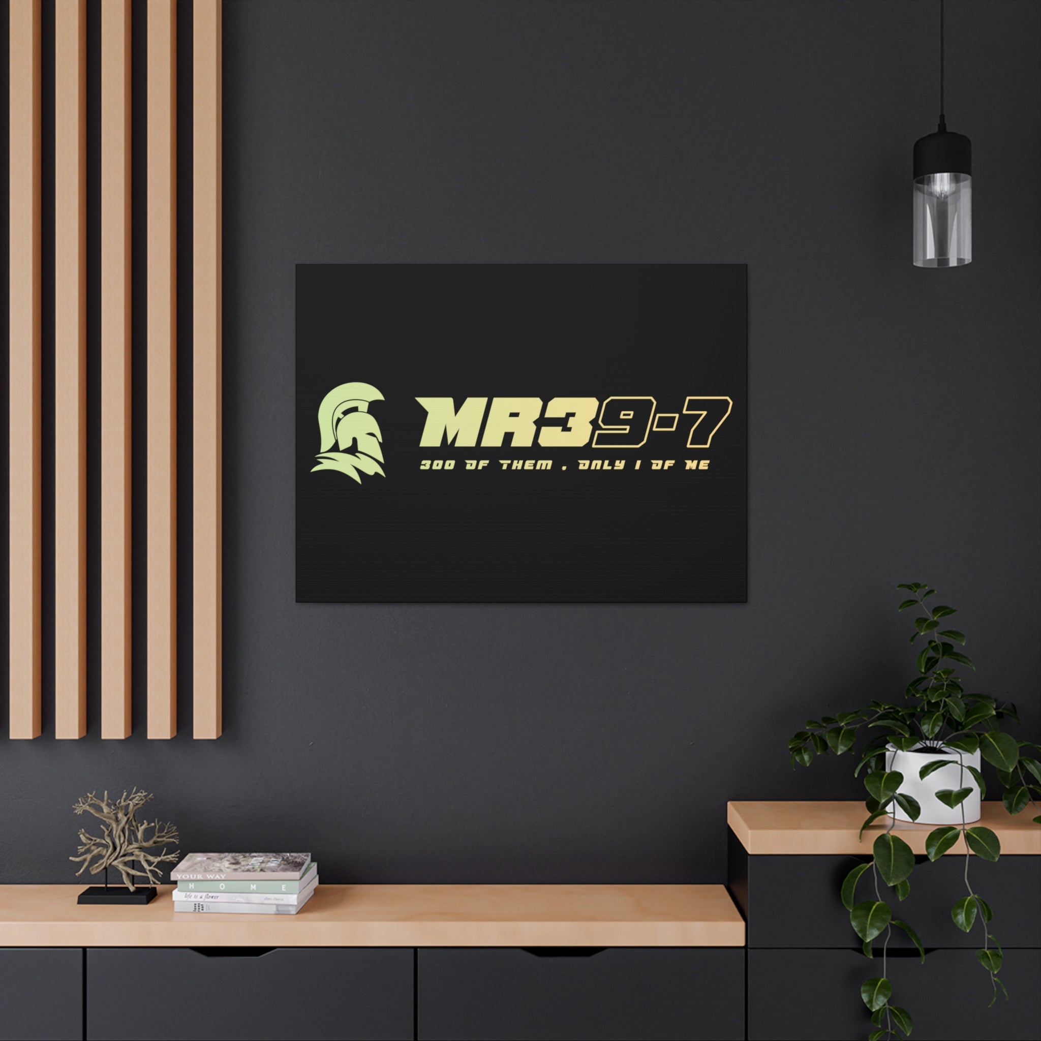 Canvas Gallery Wraps (A1•SPARTA RANGE)