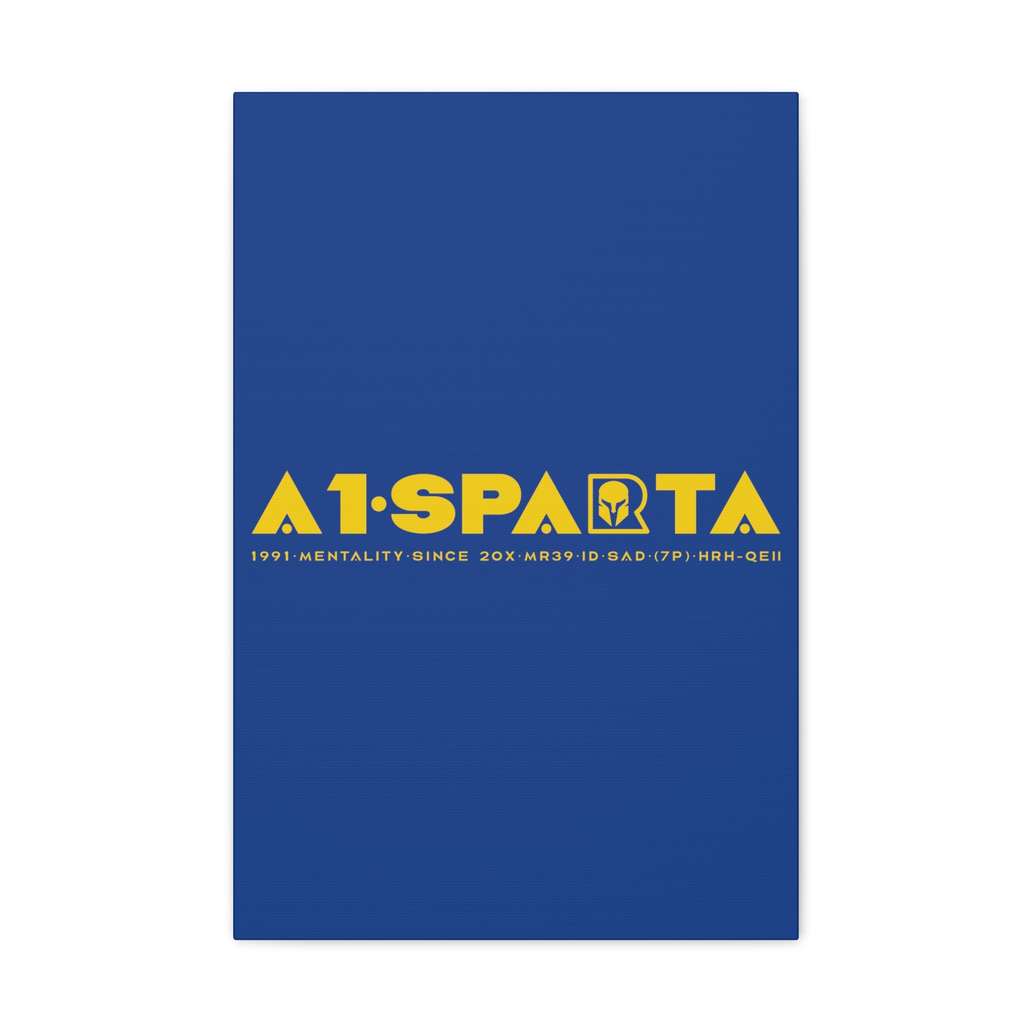 Canvas Gallery Wraps (A1•SPARTA RANGE)