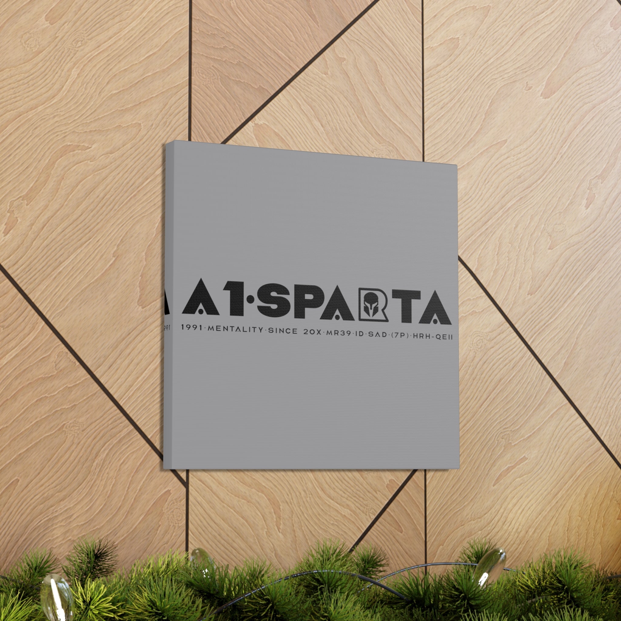 Canvas Gallery Wraps (A1•SPARTA RANGE)