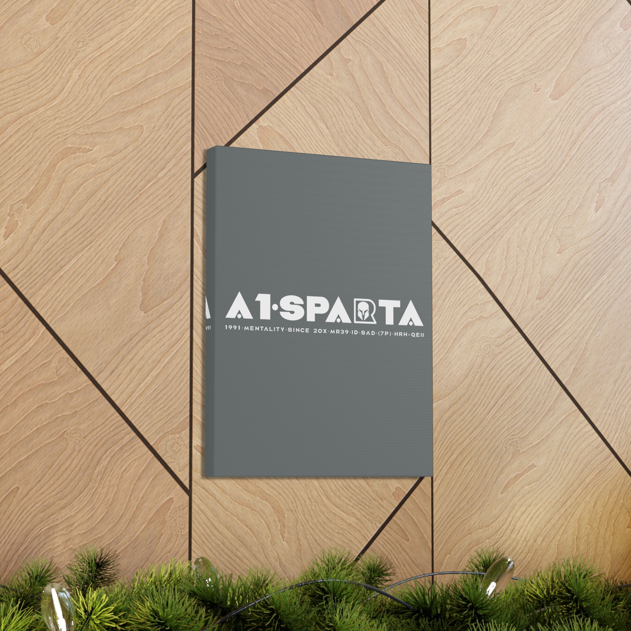 Canvas Gallery Wraps (A1•SPARTA RANGE)