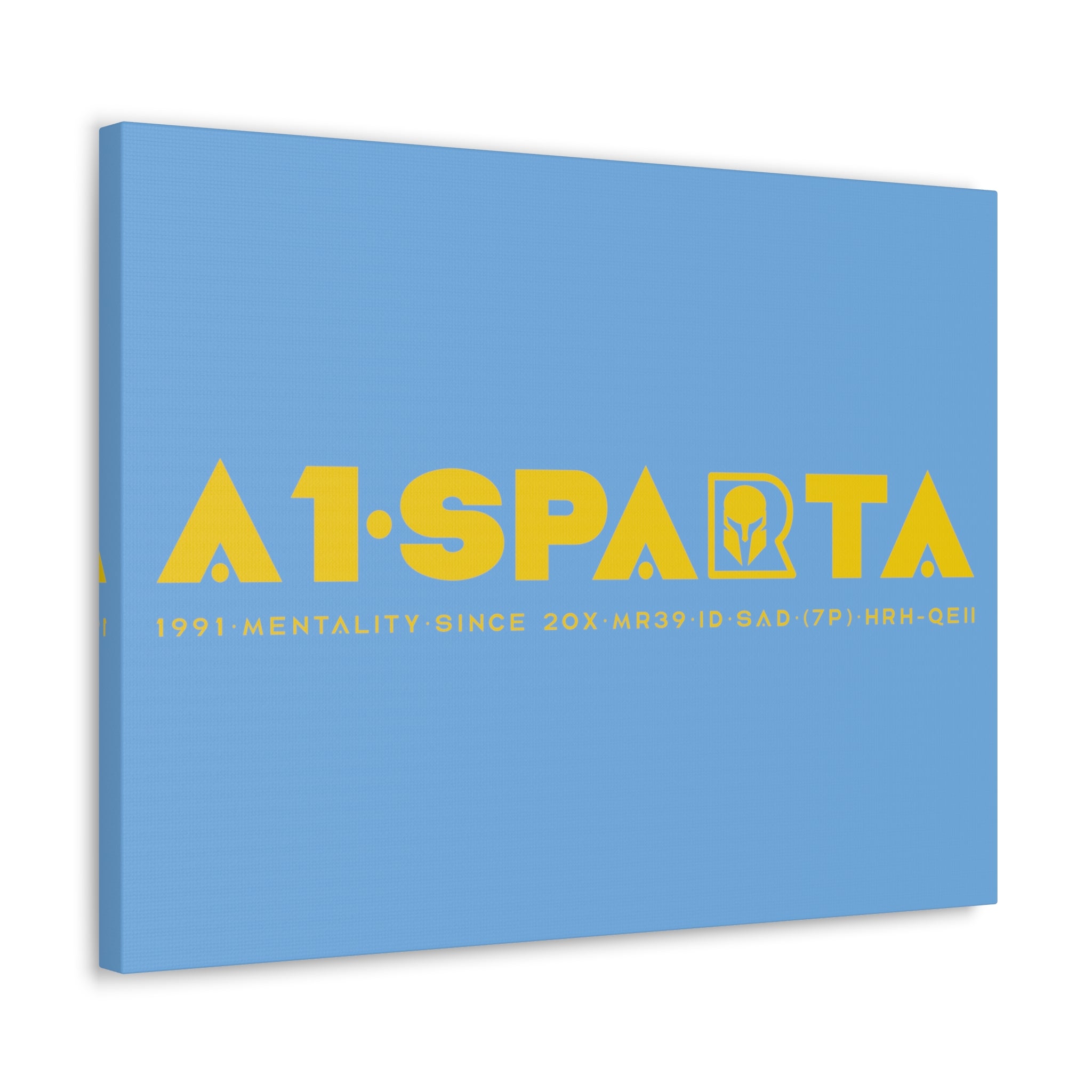 Canvas Gallery Wraps (A1•SPARTA RANGE)