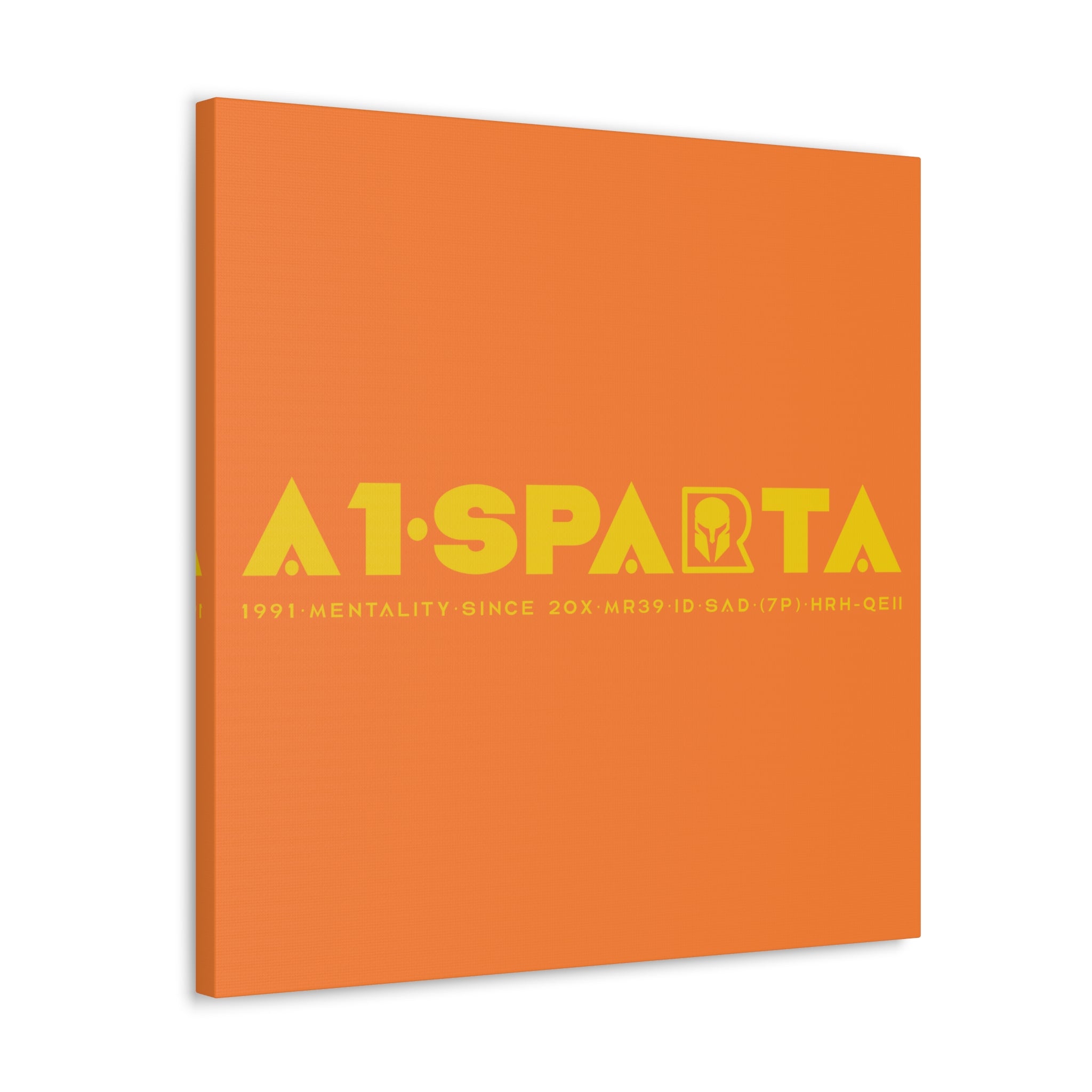 Canvas Gallery Wraps (A1•SPARTA RANGE)