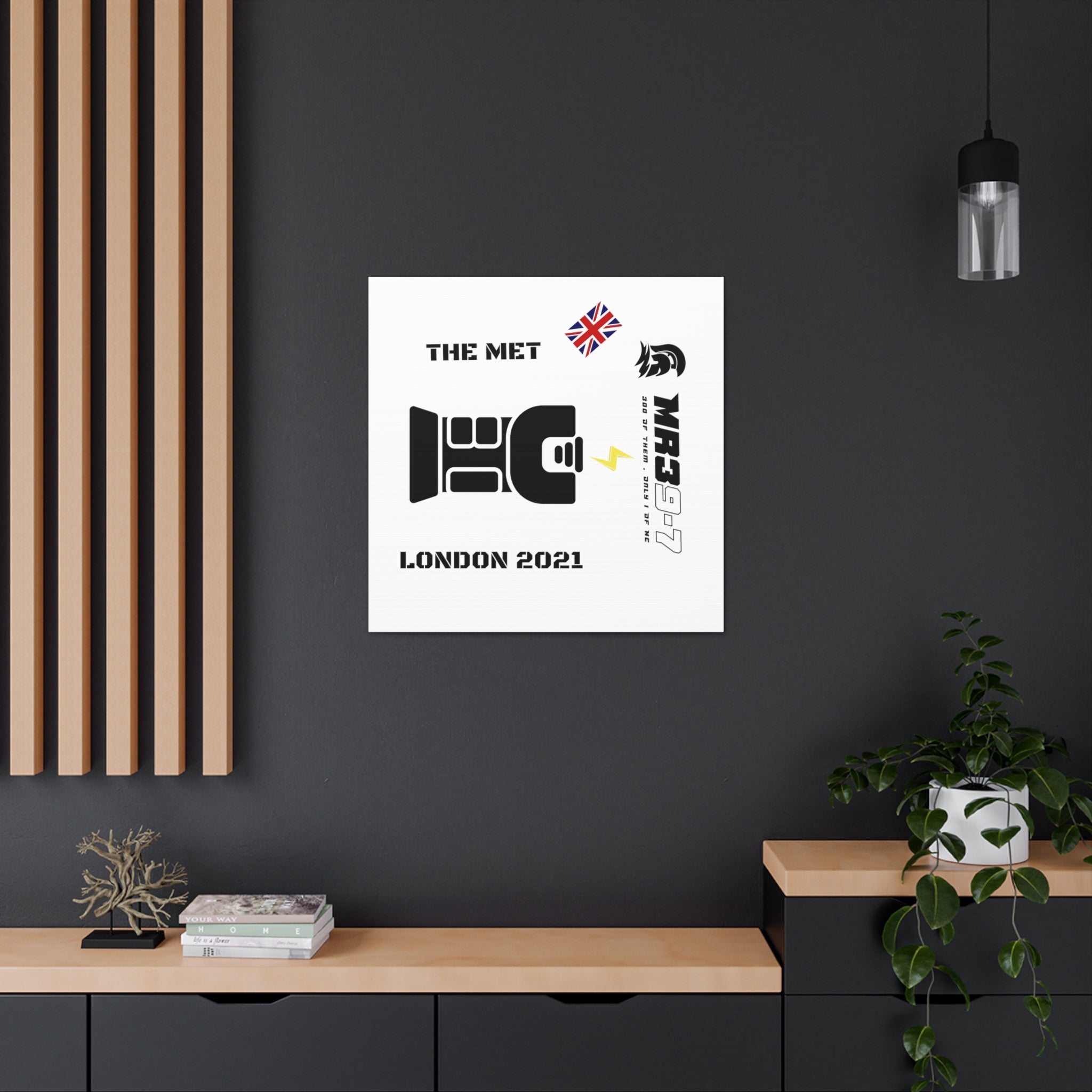 Copy of Canvas Gallery Wraps MR 39 Tasered by The MET 2021