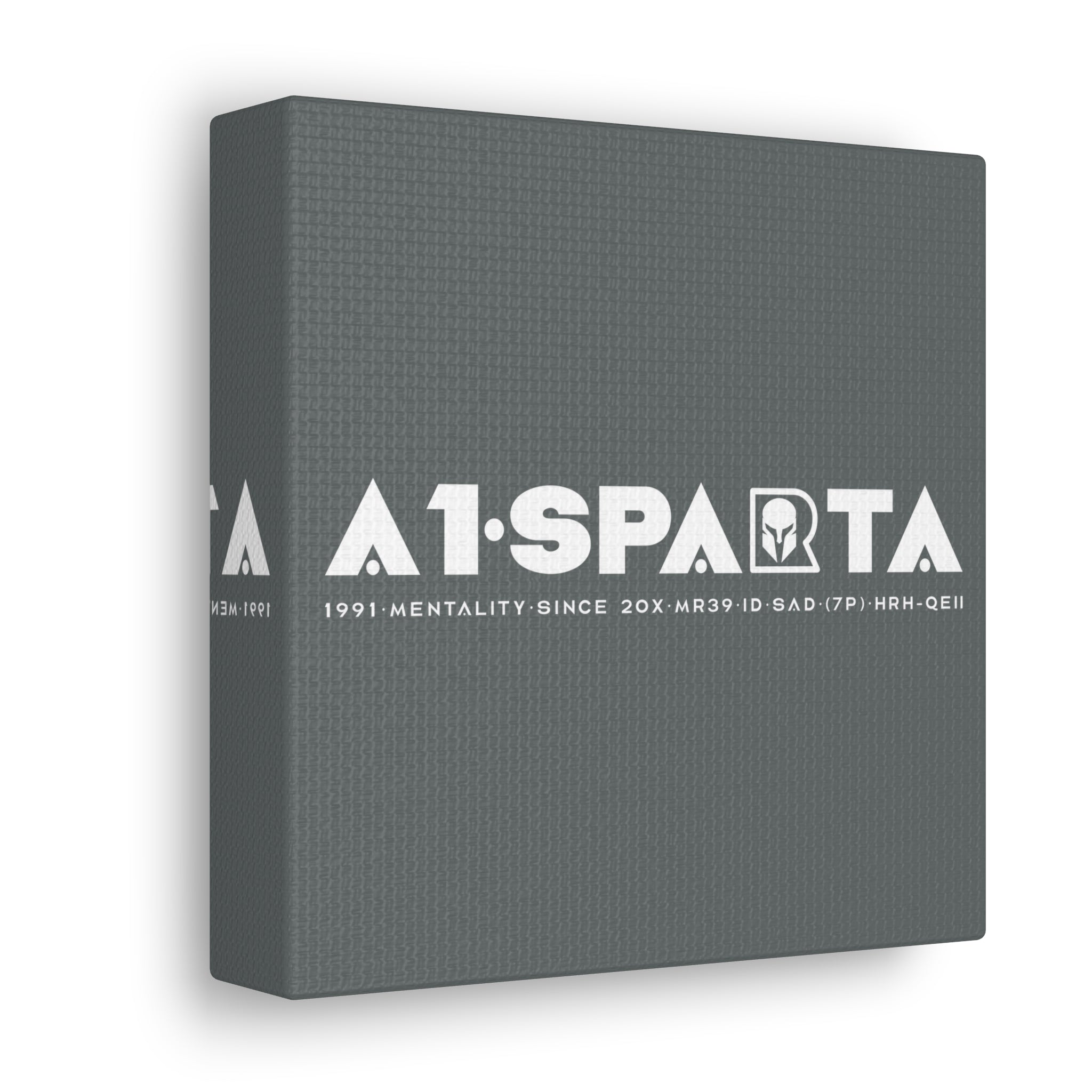 Canvas Gallery Wraps (A1•SPARTA RANGE)