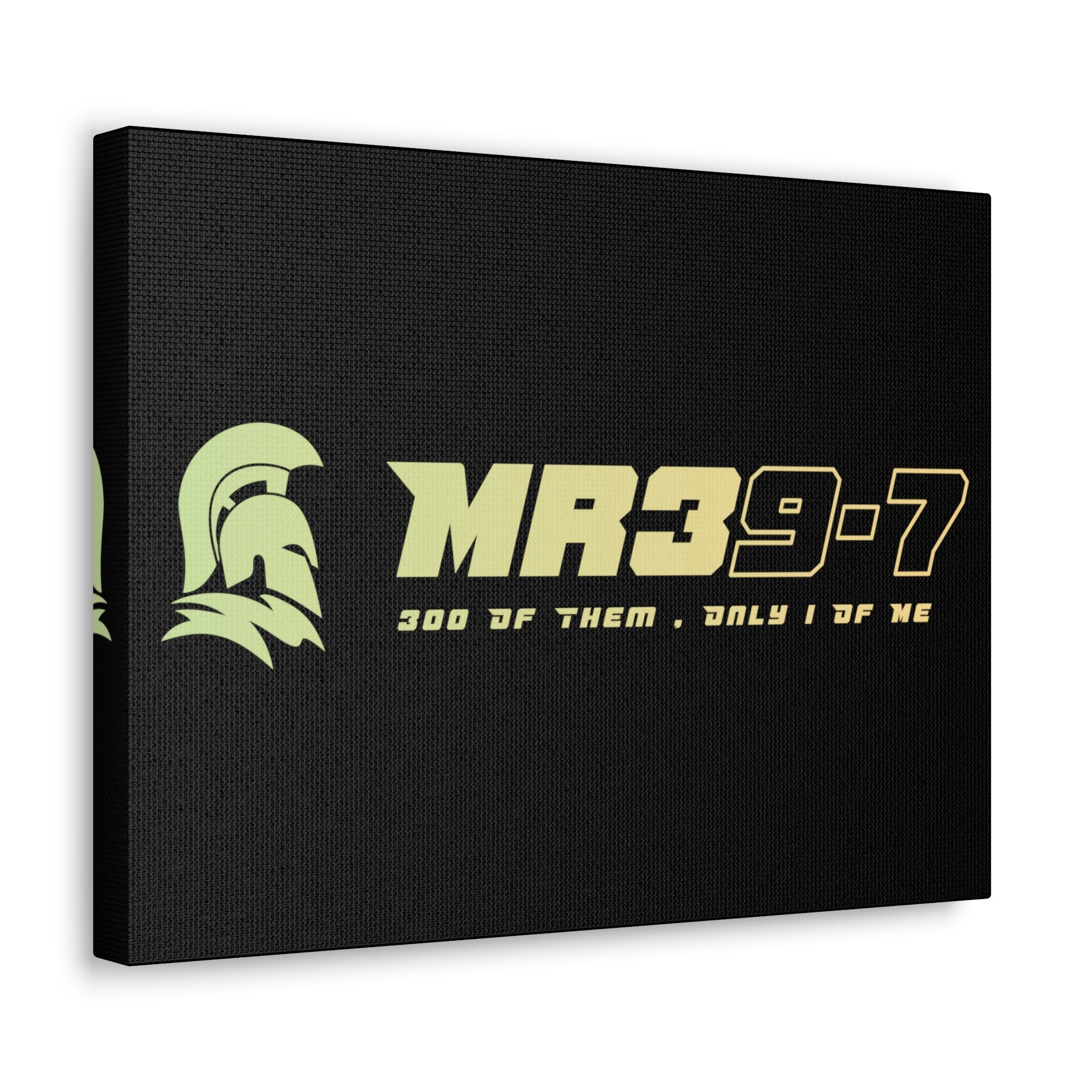 Canvas Gallery Wraps (A1•SPARTA RANGE)