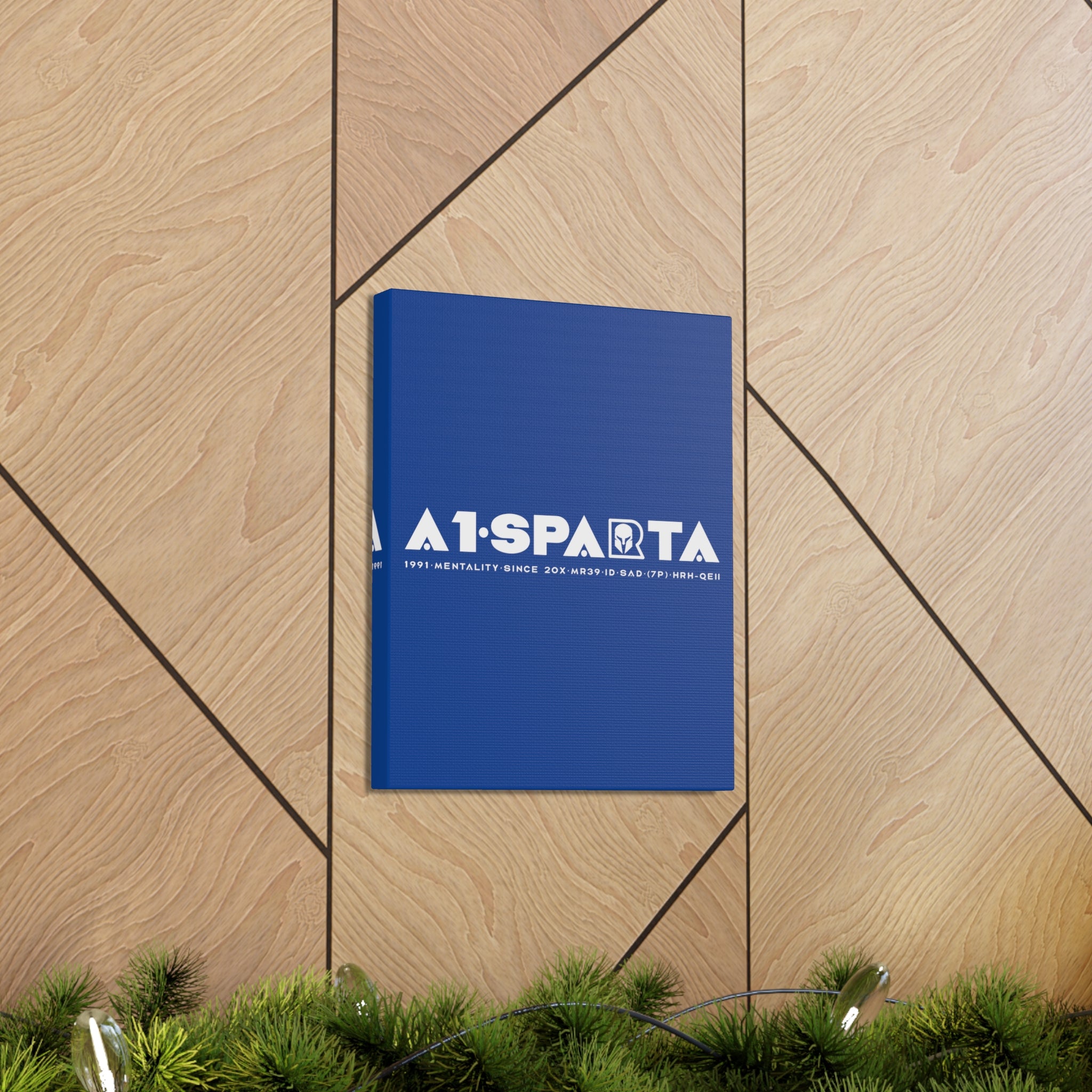 Canvas Gallery Wraps (A1•SPARTA RANGE)