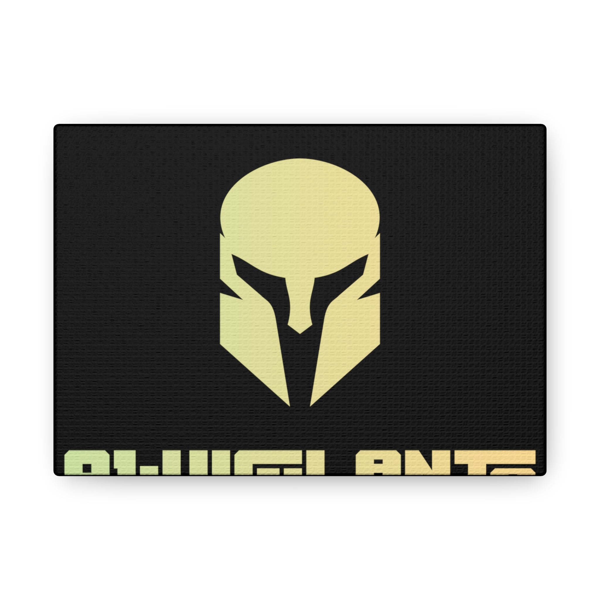 Canvas Gallery Wraps (VIGILANTE RANGE)