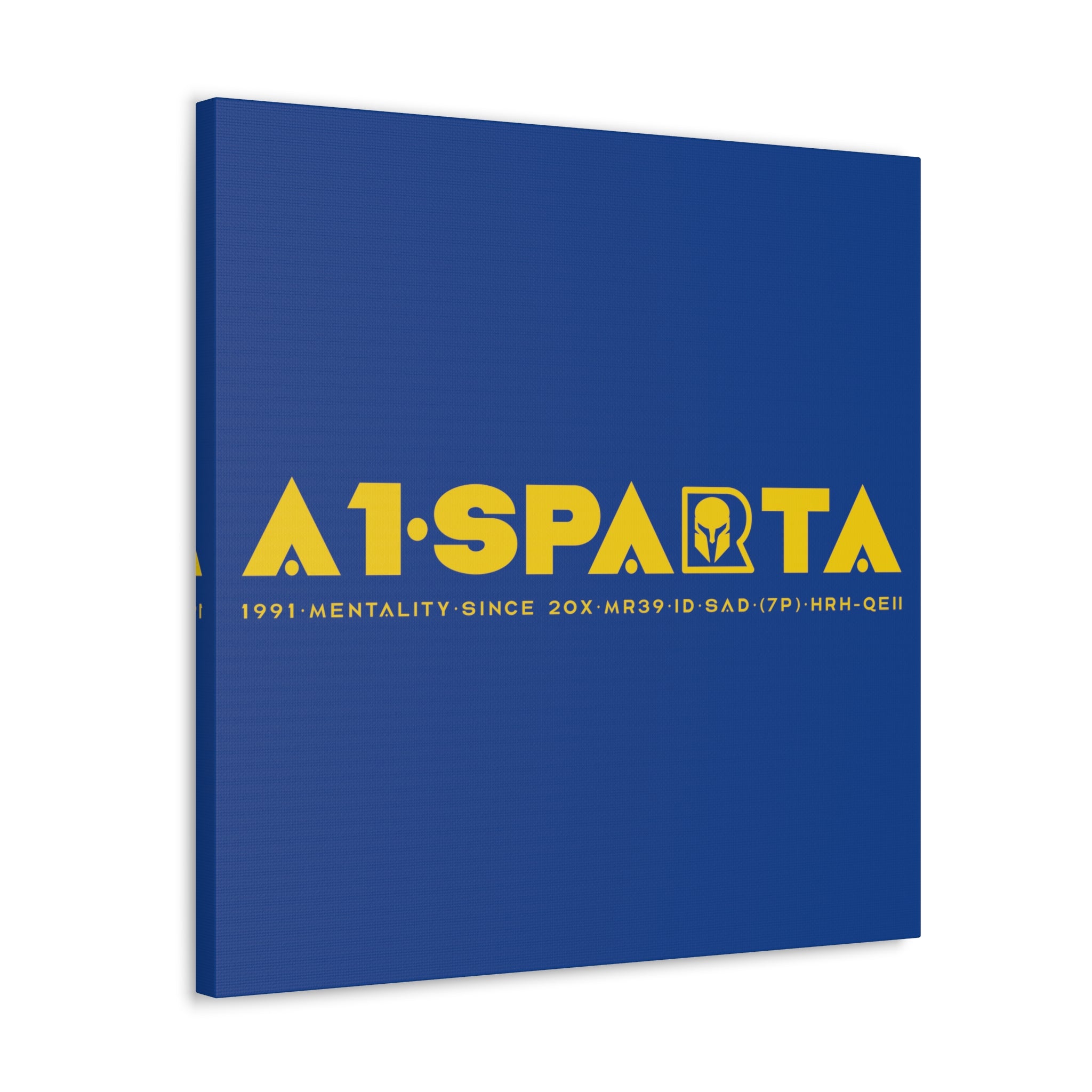 Canvas Gallery Wraps (A1•SPARTA RANGE)