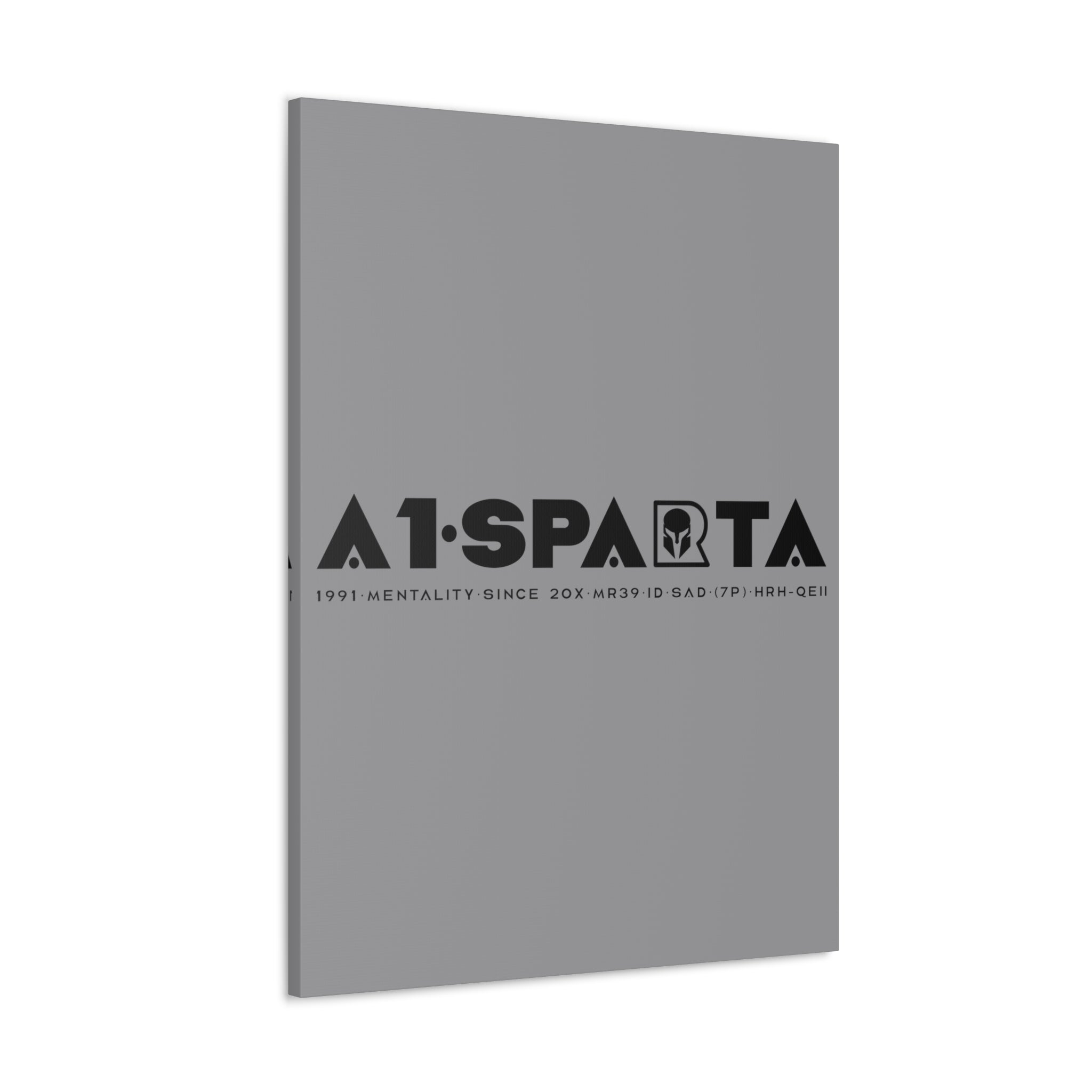 Canvas Gallery Wraps (A1•SPARTA RANGE)