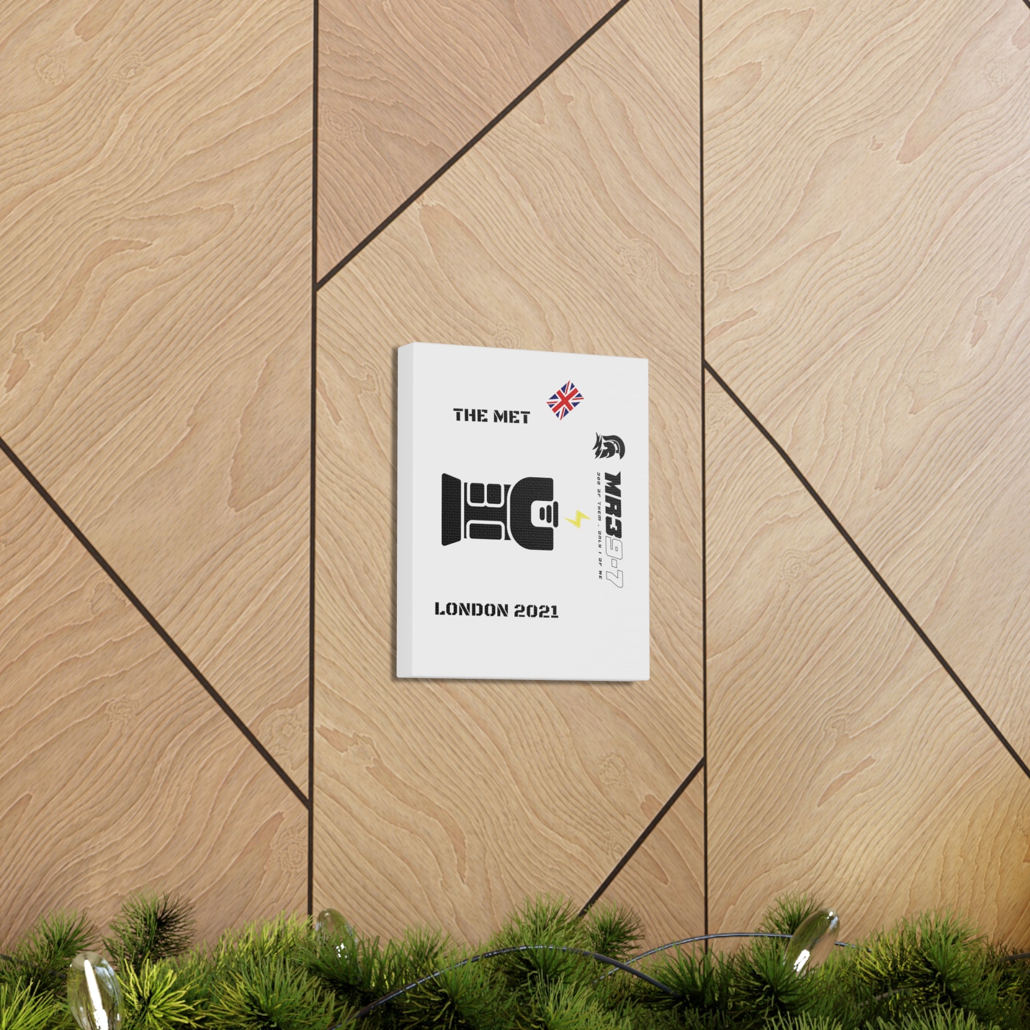 Copy of Canvas Gallery Wraps MR 39 Tasered by The MET 2021