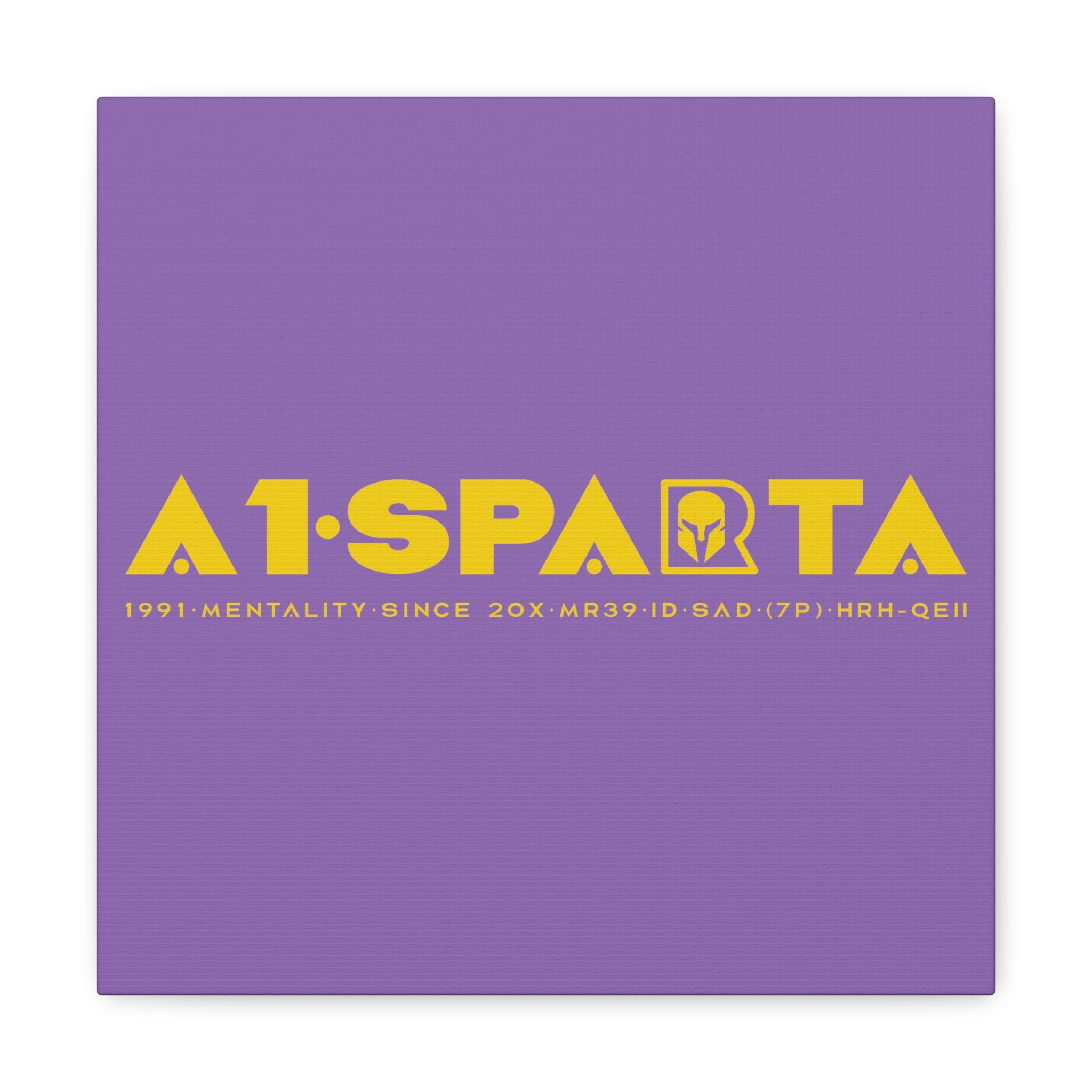 Canvas Gallery Wraps (A1•SPARTA RANGE)