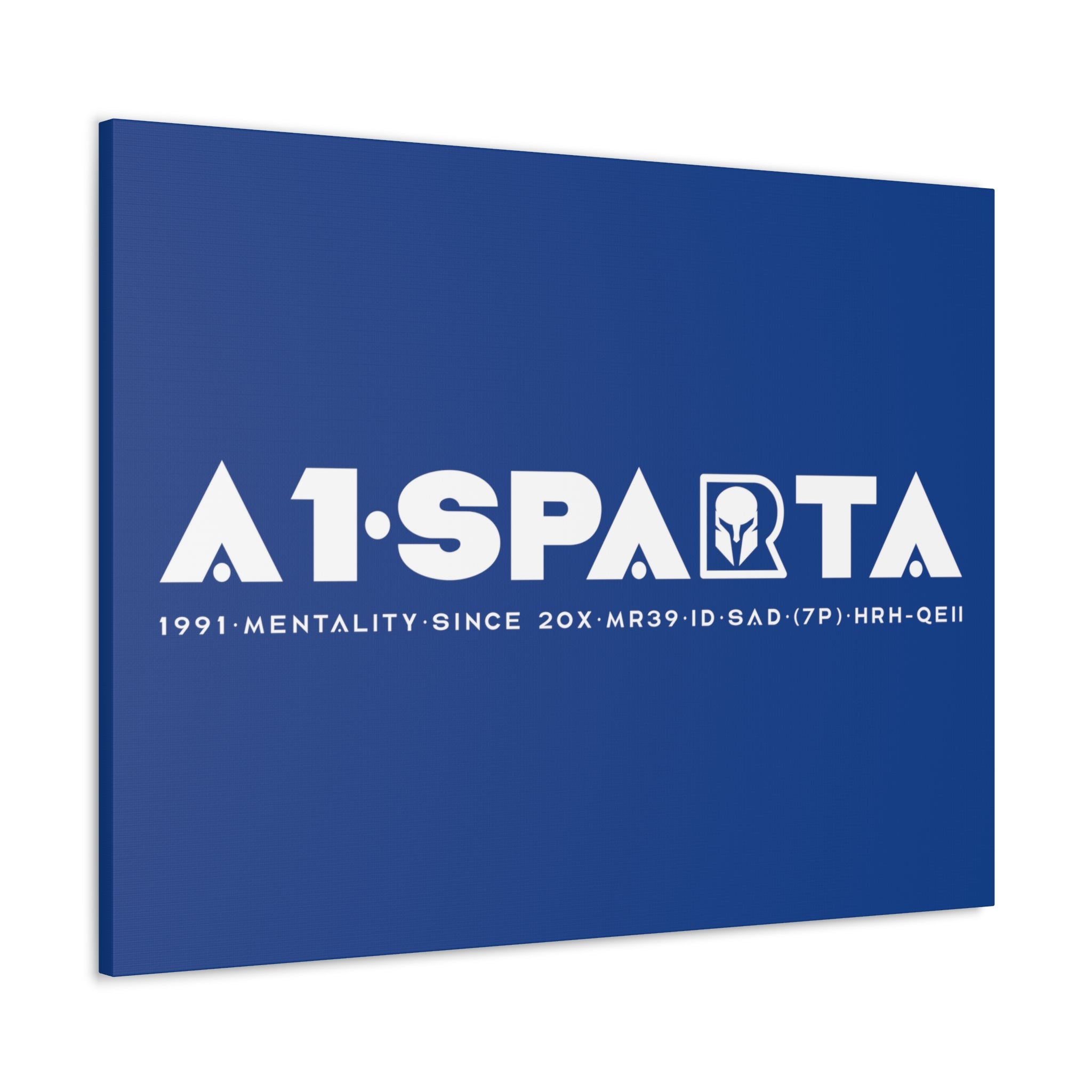 Canvas Gallery Wraps (A1•SPARTA RANGE)