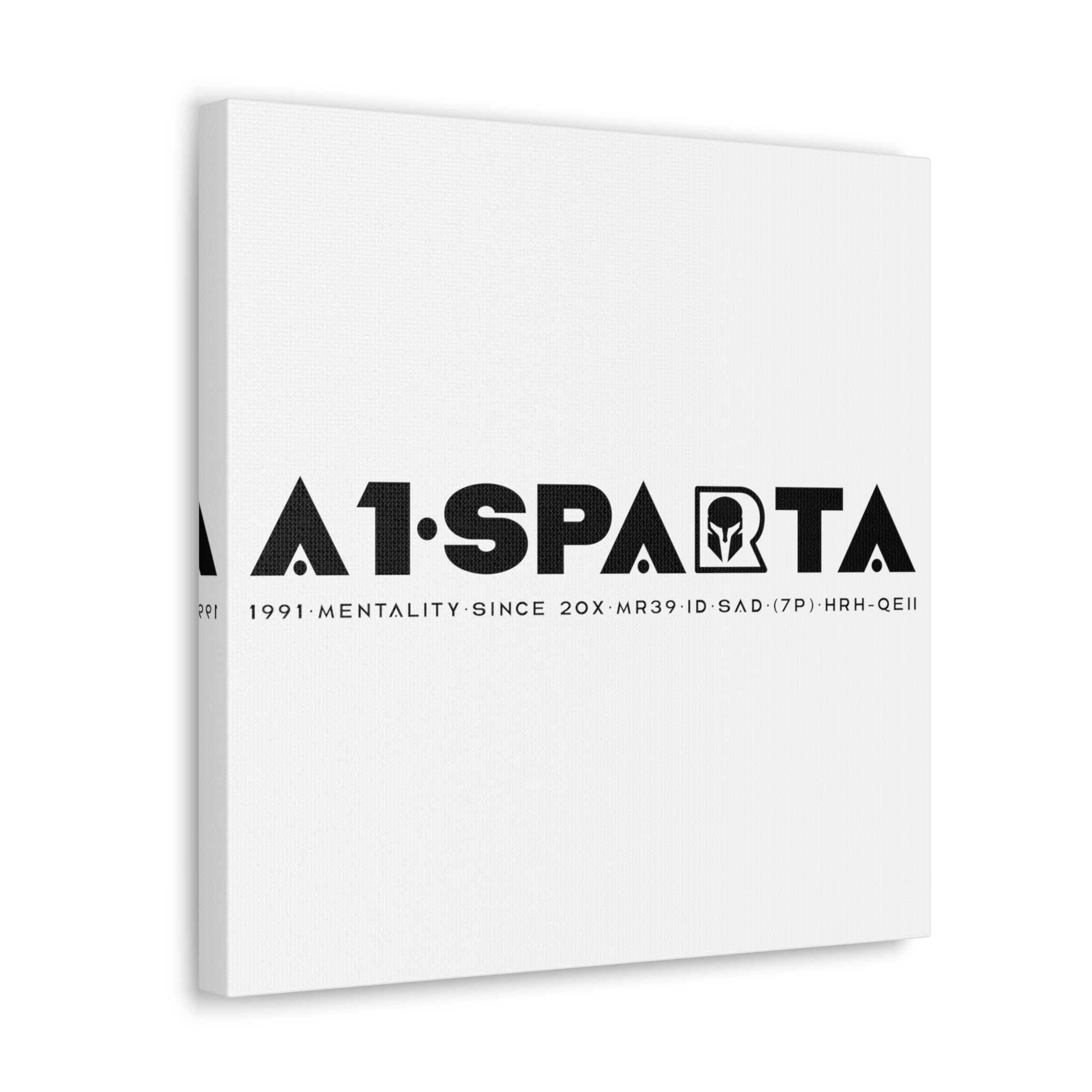 Canvas Gallery Wraps (A1•SPARTA RANGE)