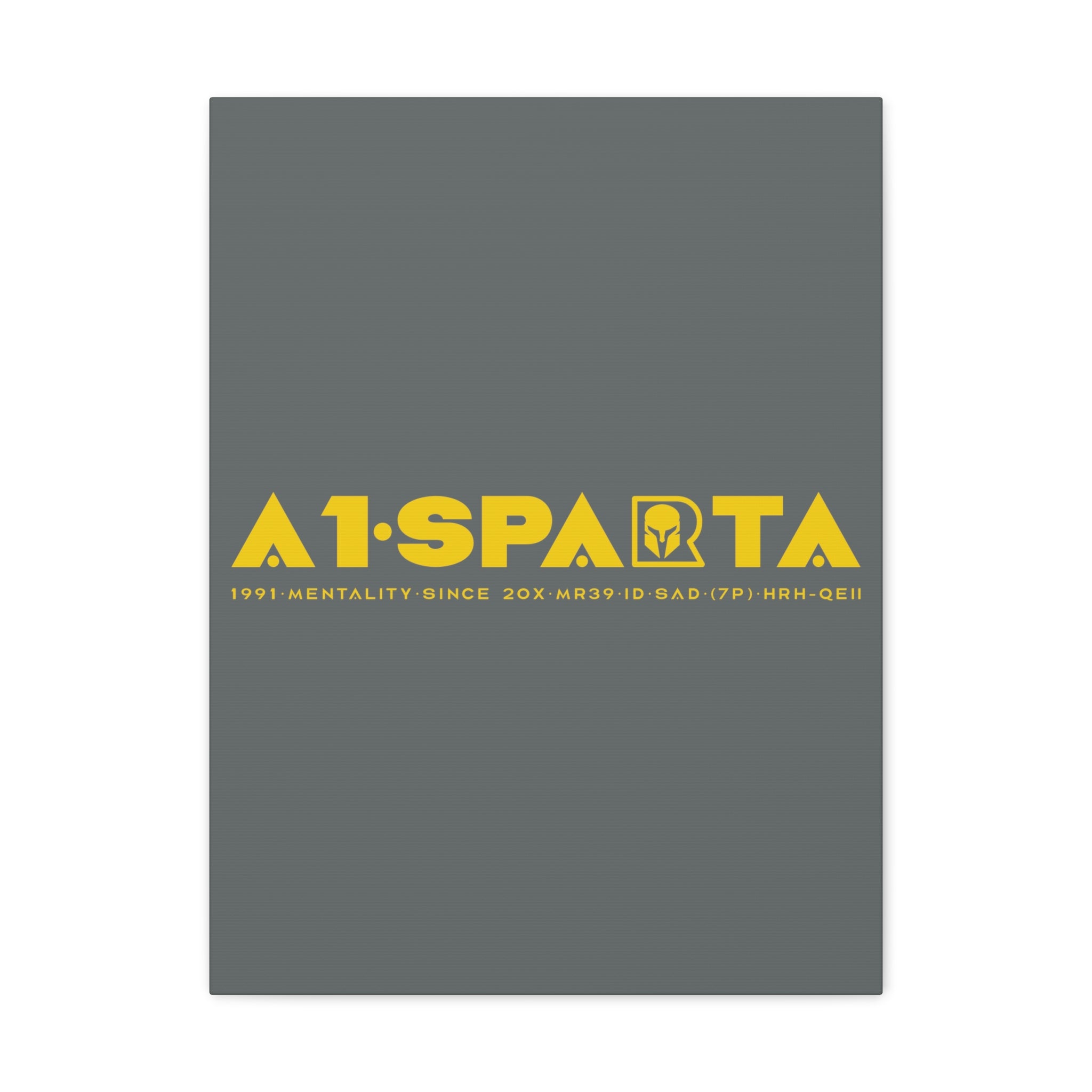 Canvas Gallery Wraps (A1•SPARTA RANGE)