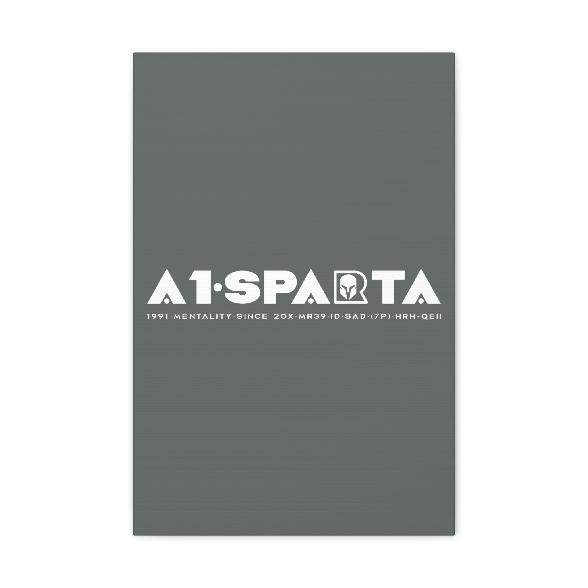 Canvas Gallery Wraps (A1•SPARTA RANGE)