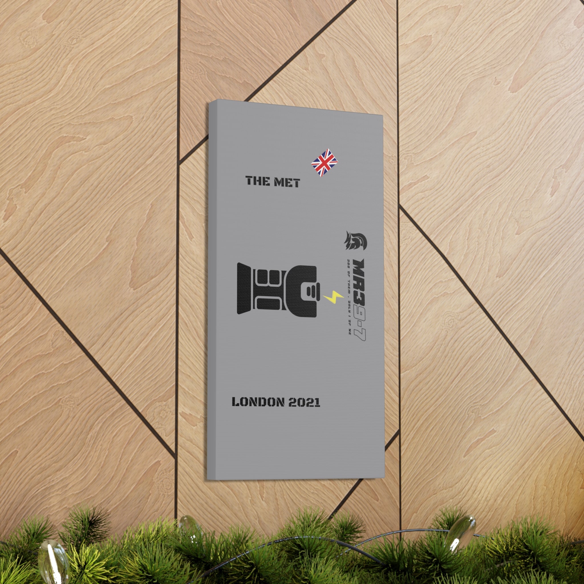 Copy of Canvas Gallery Wraps MR 39 Tasered by The MET 2021