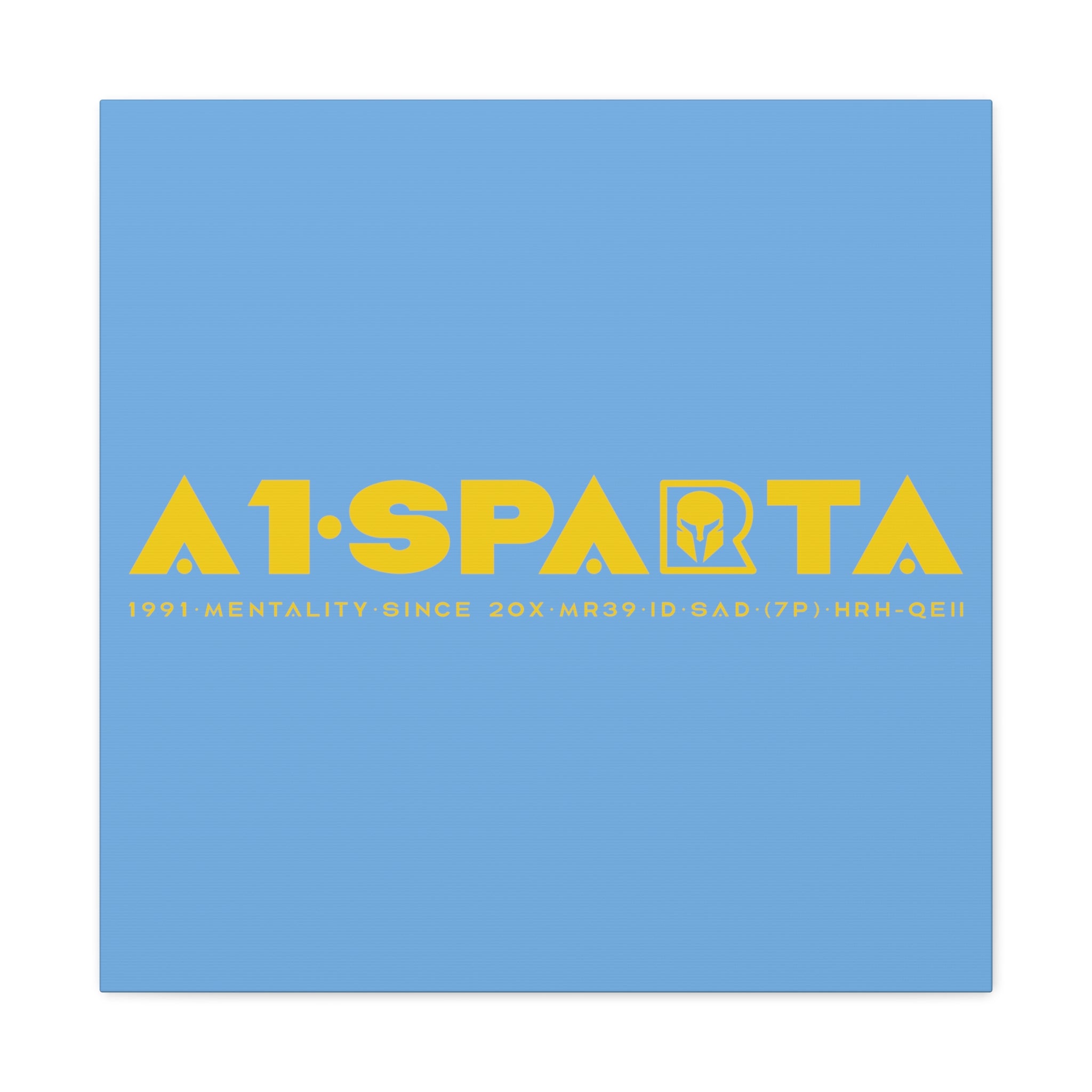 Canvas Gallery Wraps (A1•SPARTA RANGE)