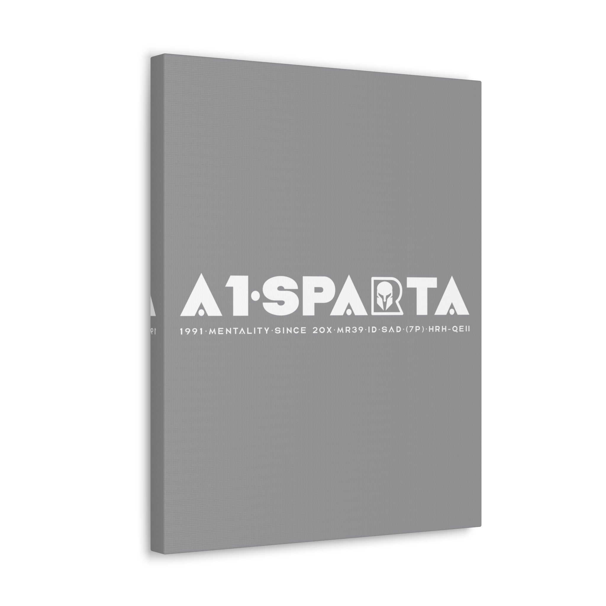 Canvas Gallery Wraps (A1•SPARTA RANGE)