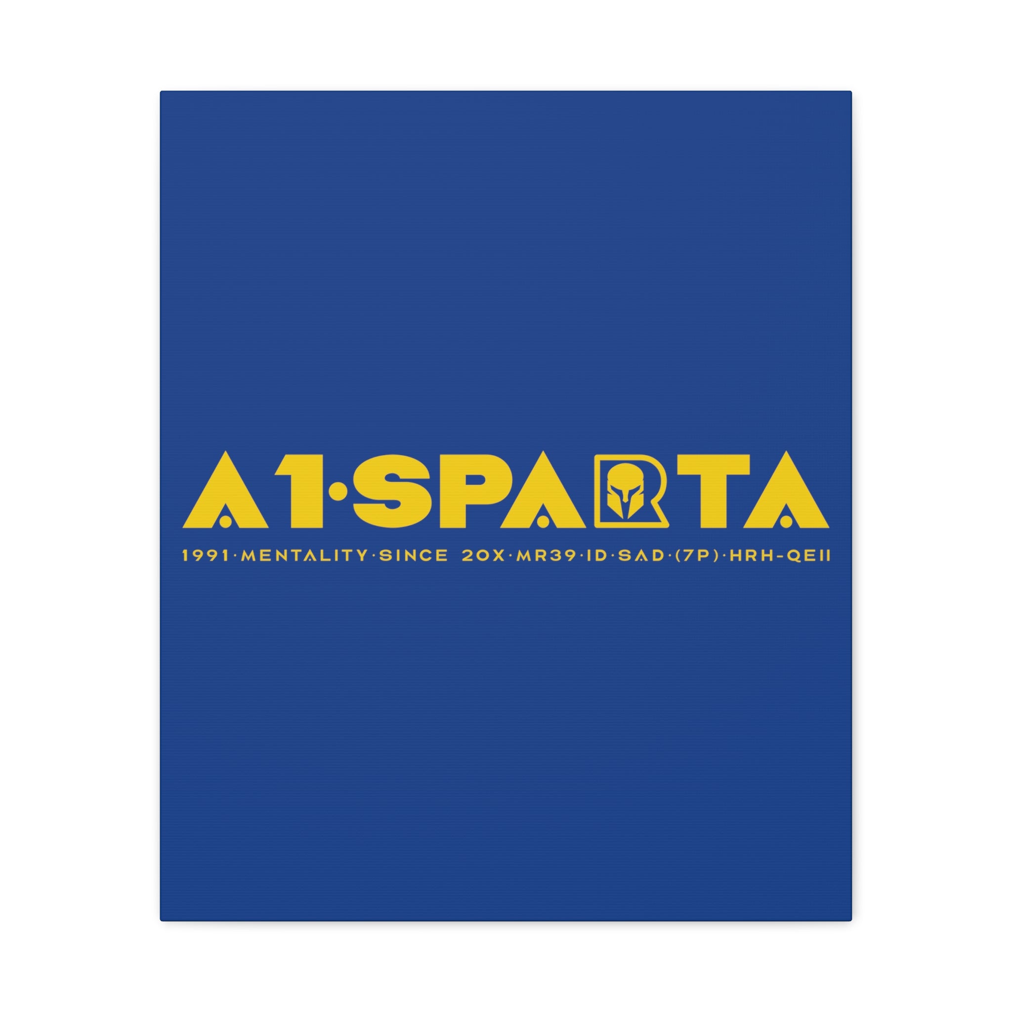 Canvas Gallery Wraps (A1•SPARTA RANGE)