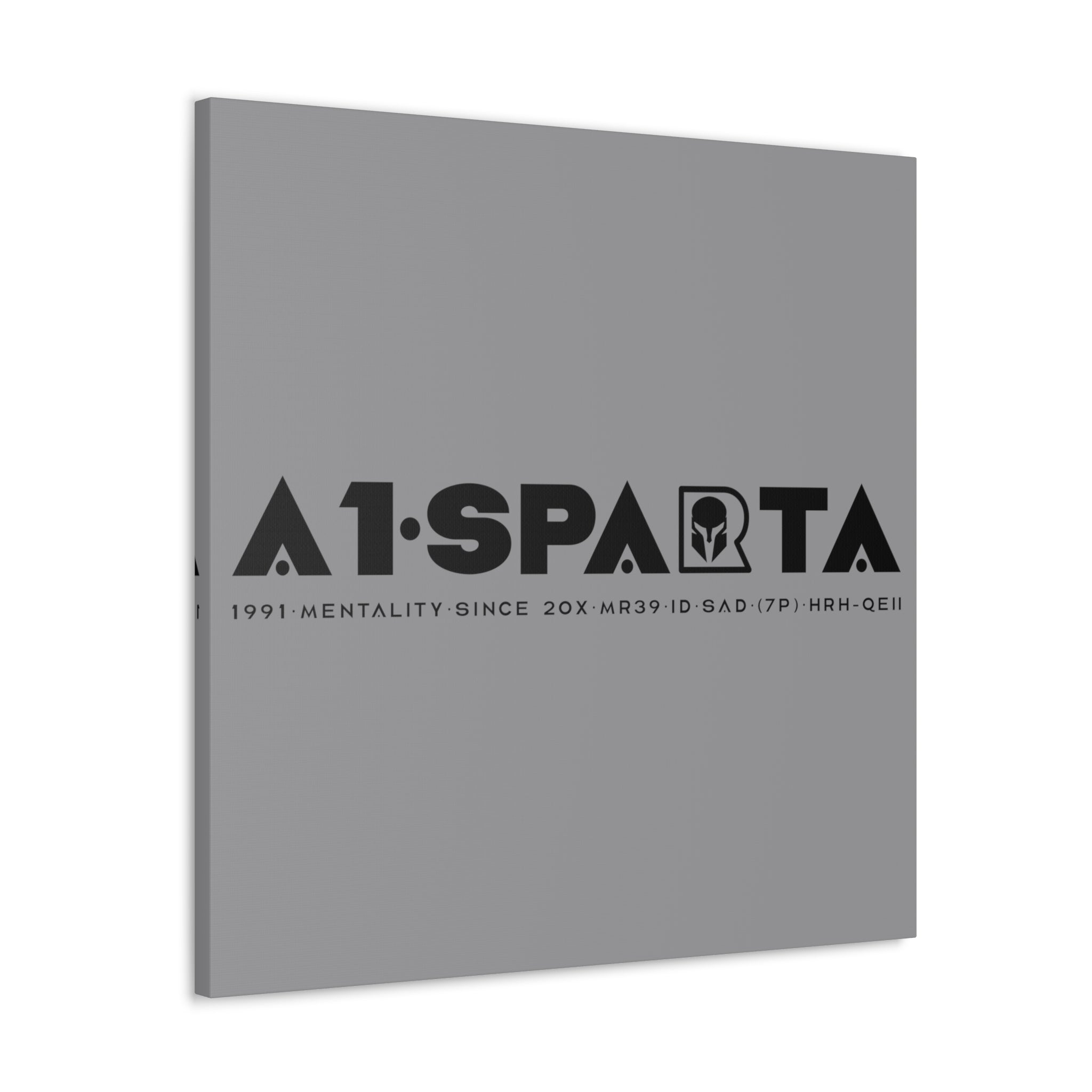 Canvas Gallery Wraps (A1•SPARTA RANGE)