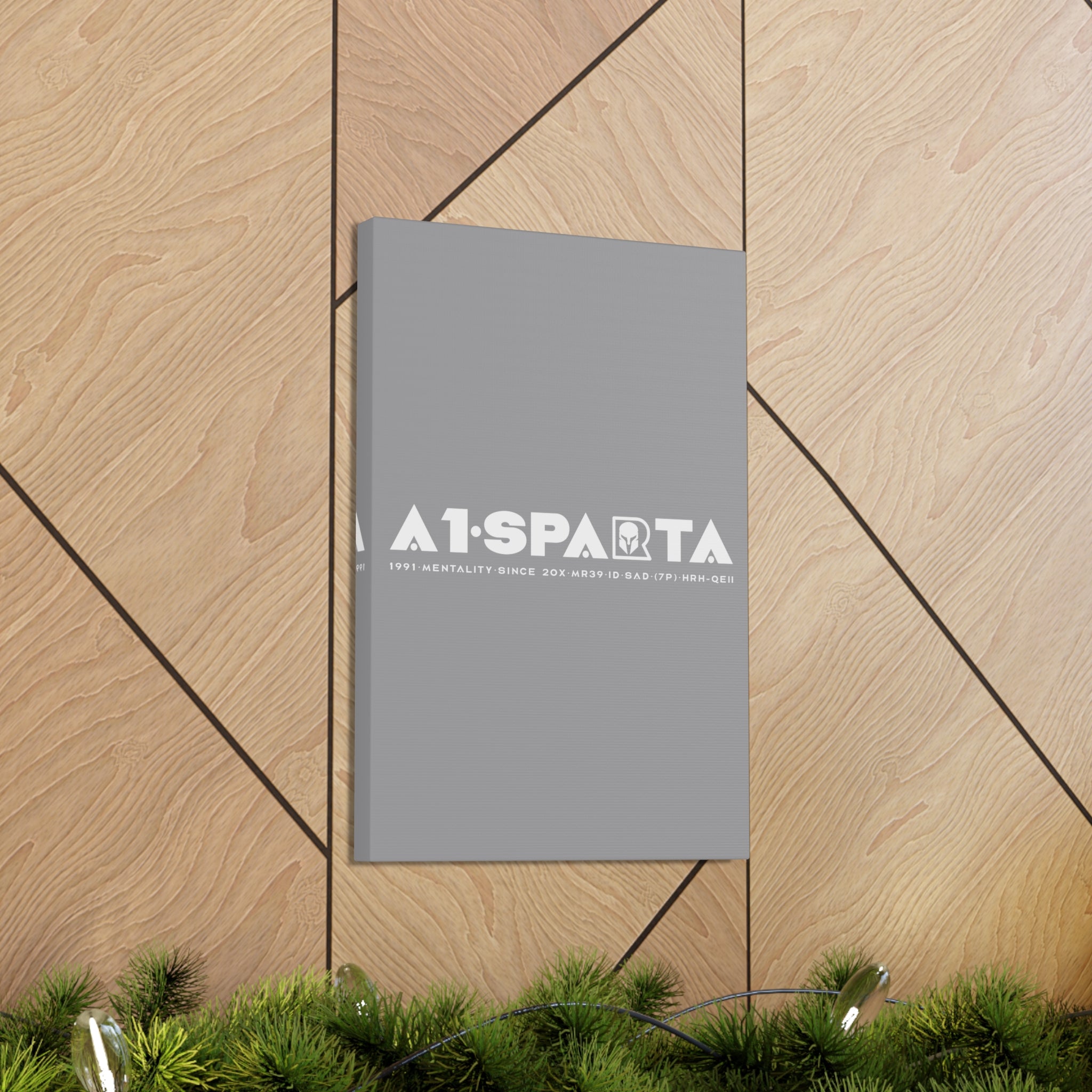 Canvas Gallery Wraps (A1•SPARTA RANGE)