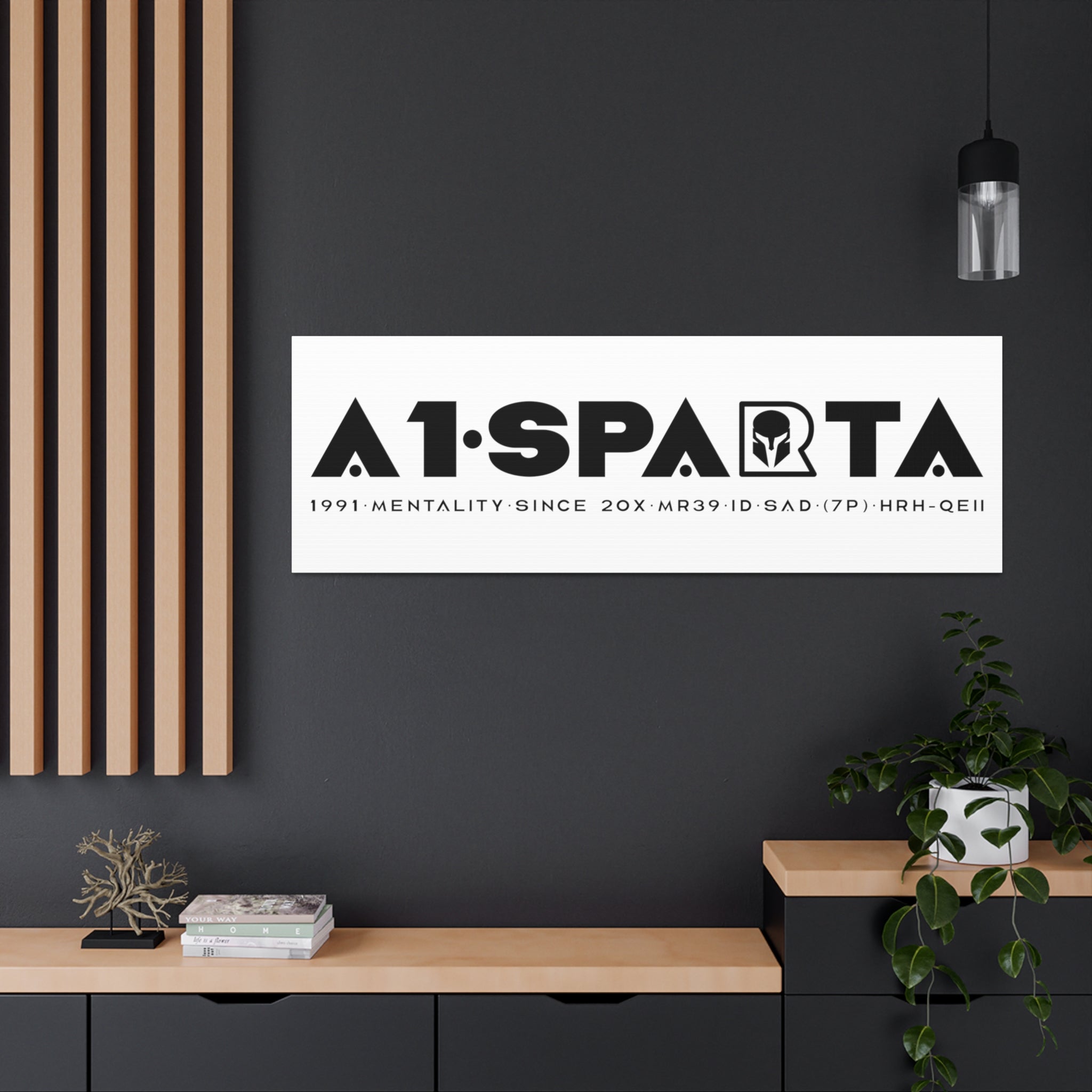 Canvas Gallery Wraps (A1•SPARTA RANGE)