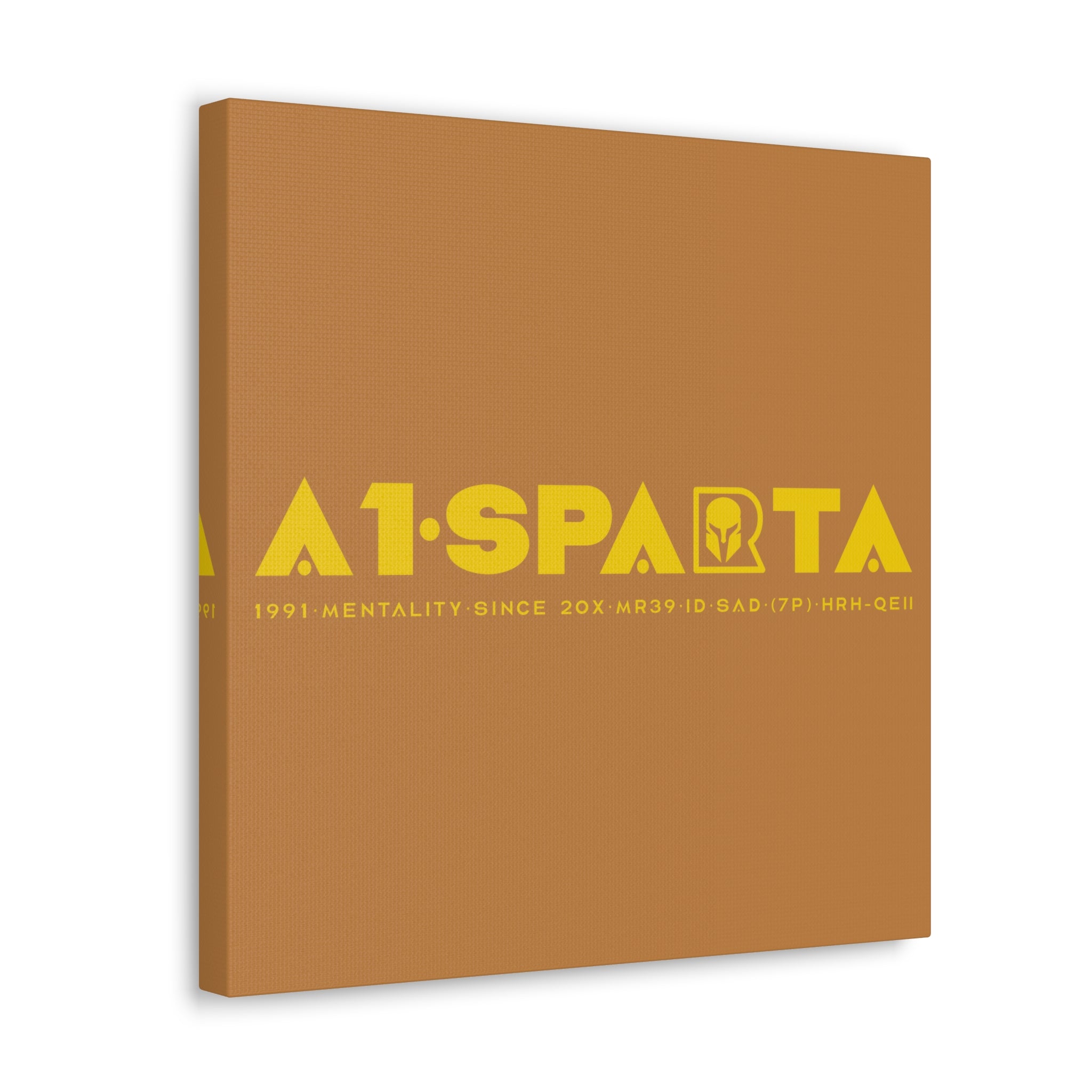 Canvas Gallery Wraps (A1•SPARTA RANGE)