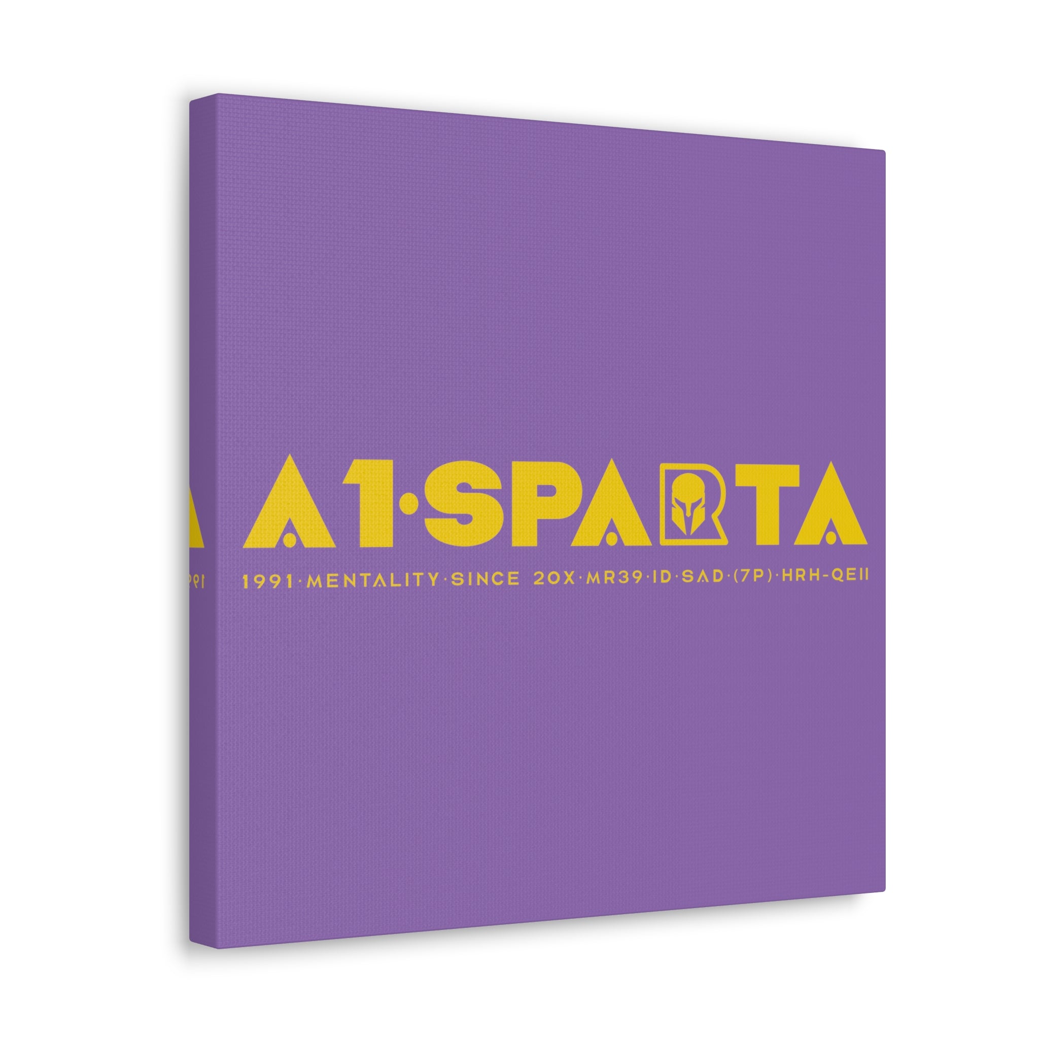 Canvas Gallery Wraps (A1•SPARTA RANGE)