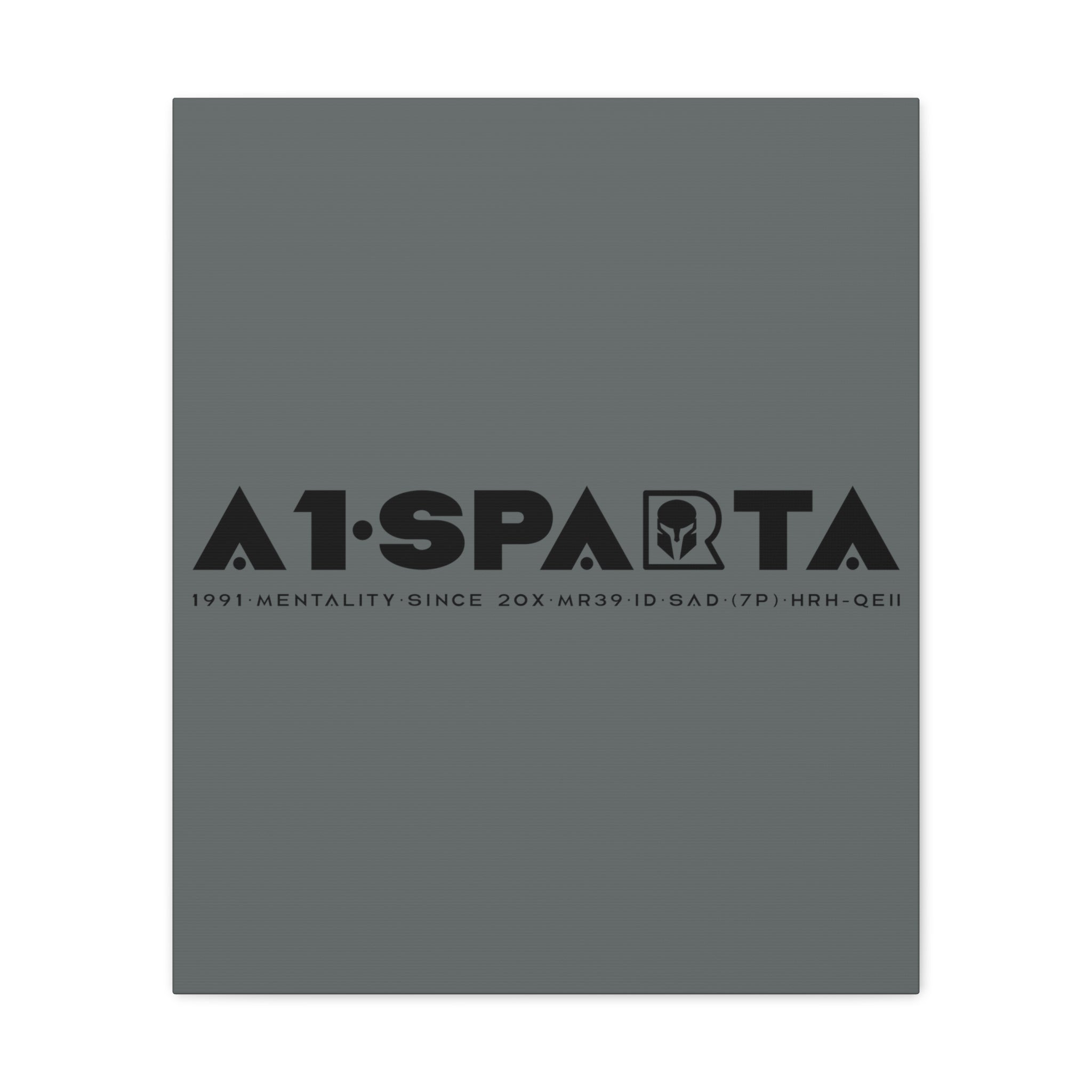 Canvas Gallery Wraps (A1•SPARTA RANGE)