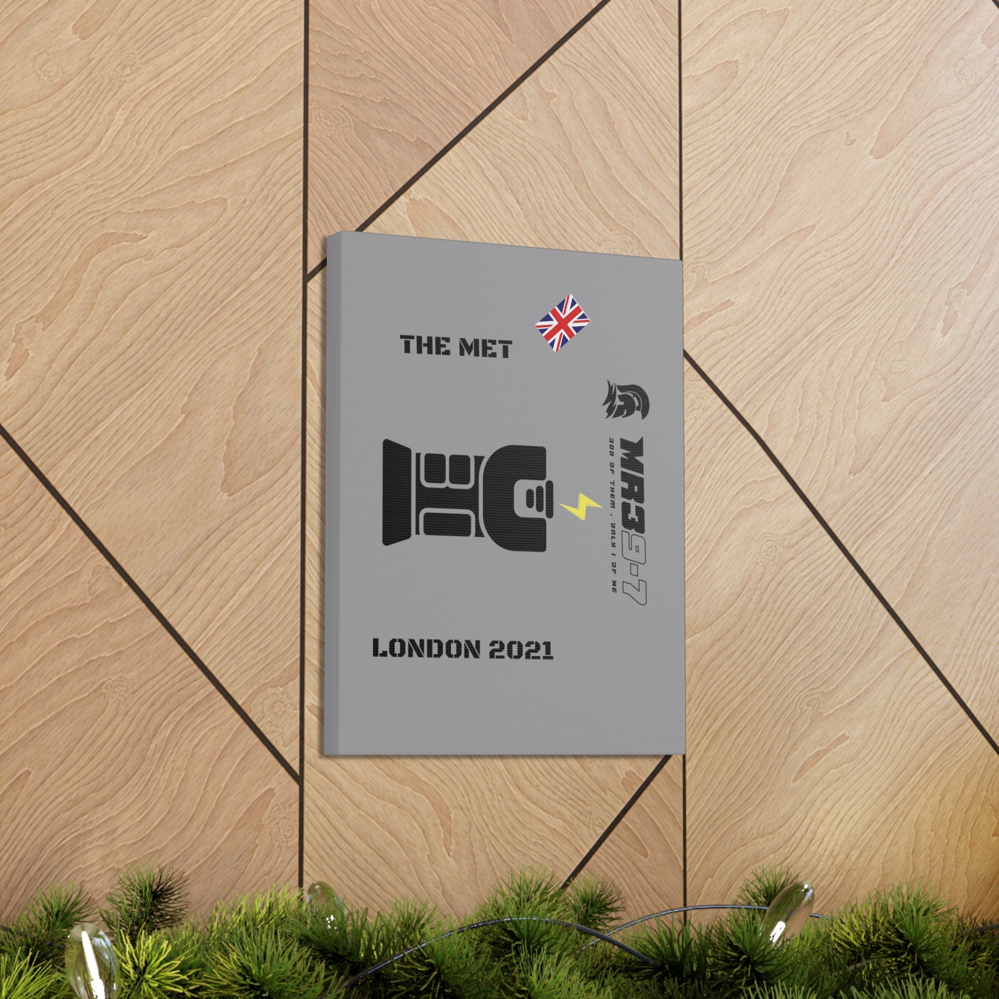 Copy of Canvas Gallery Wraps MR 39 Tasered by The MET 2021