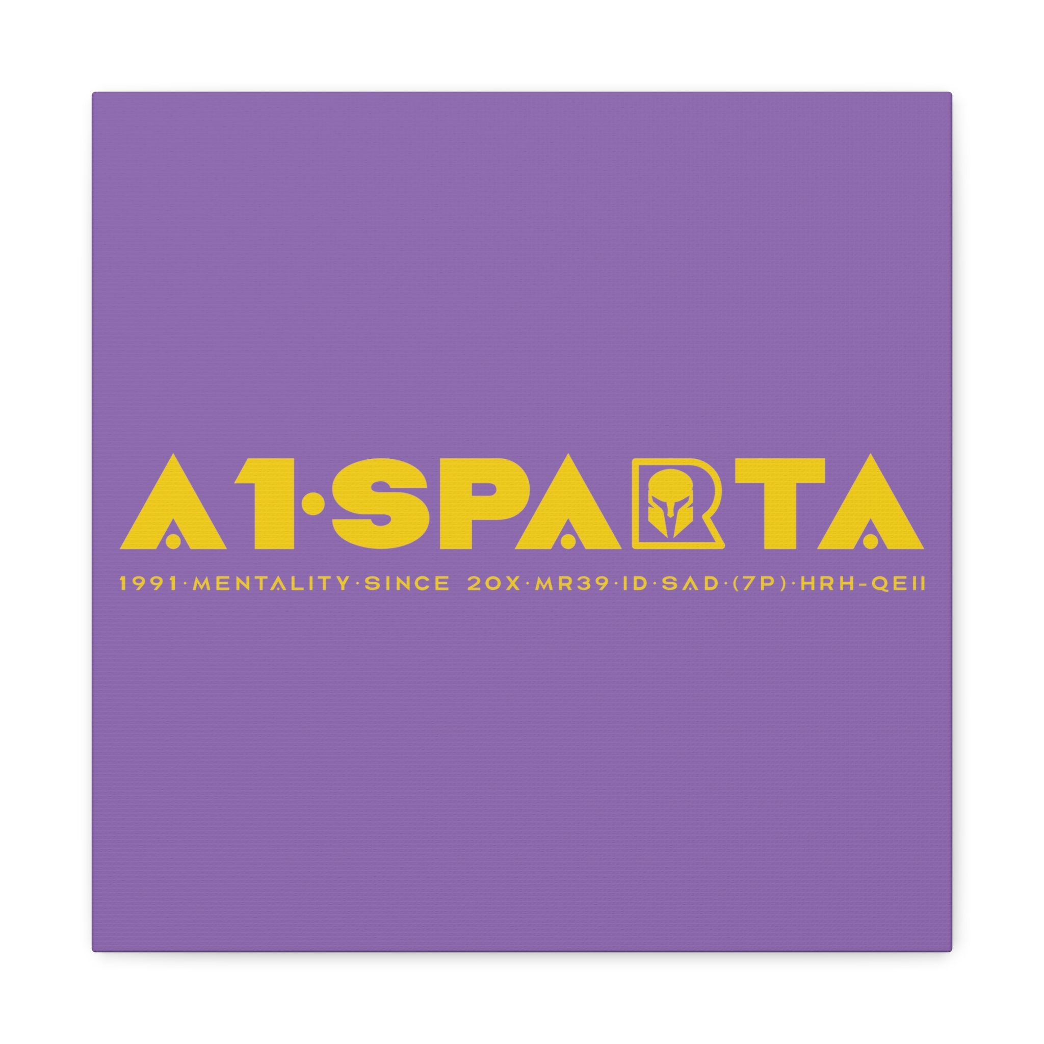 Canvas Gallery Wraps (A1•SPARTA RANGE)