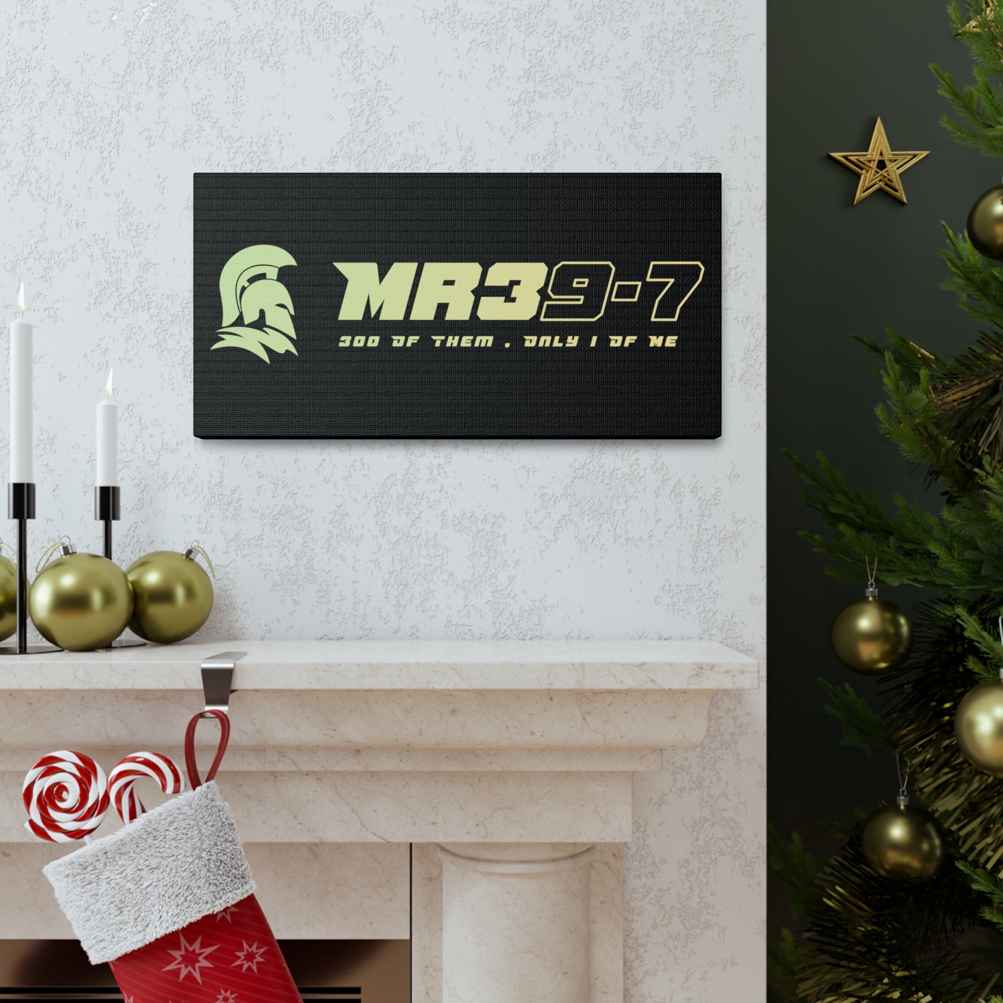 Canvas Gallery Wraps (A1•SPARTA RANGE)