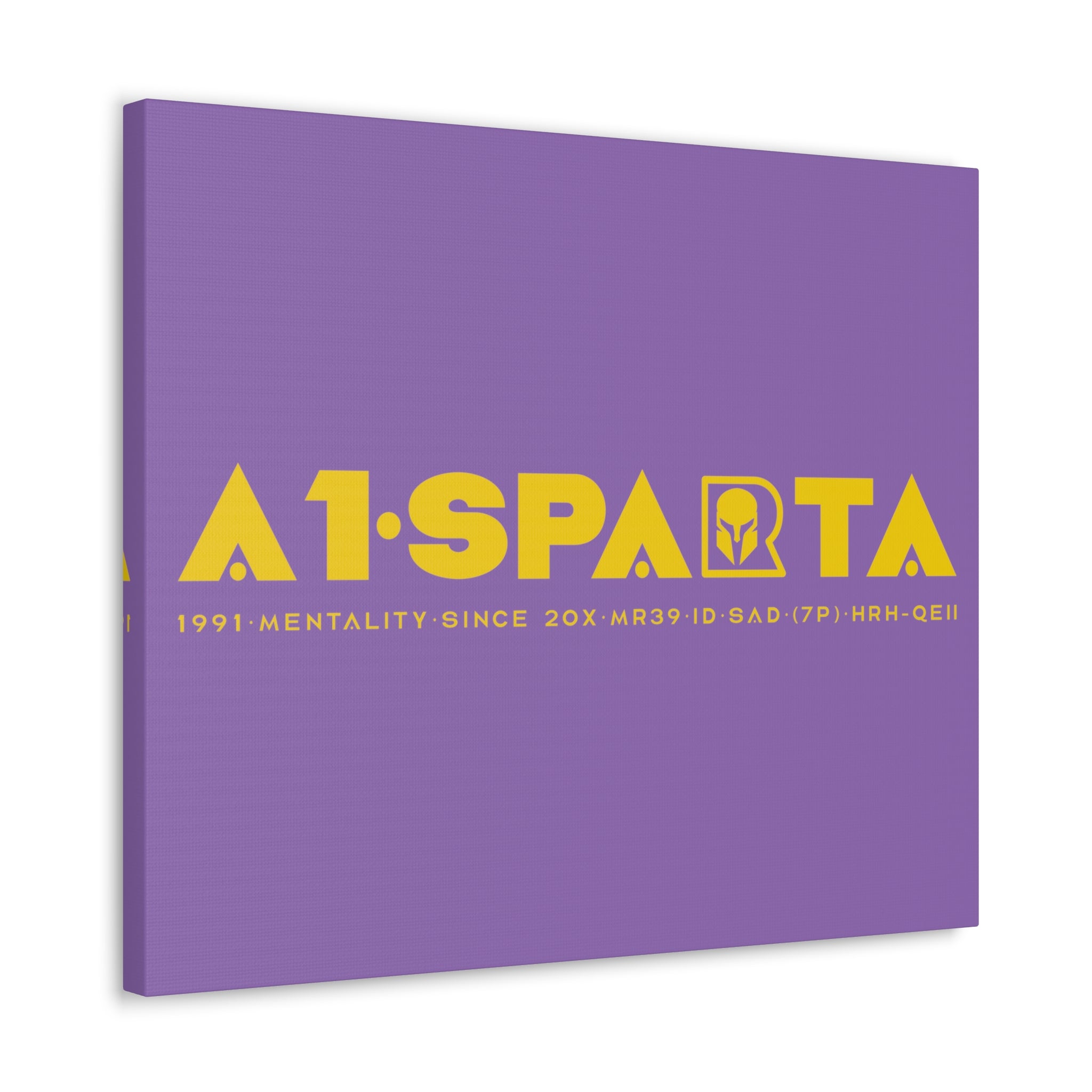 Canvas Gallery Wraps (A1•SPARTA RANGE)