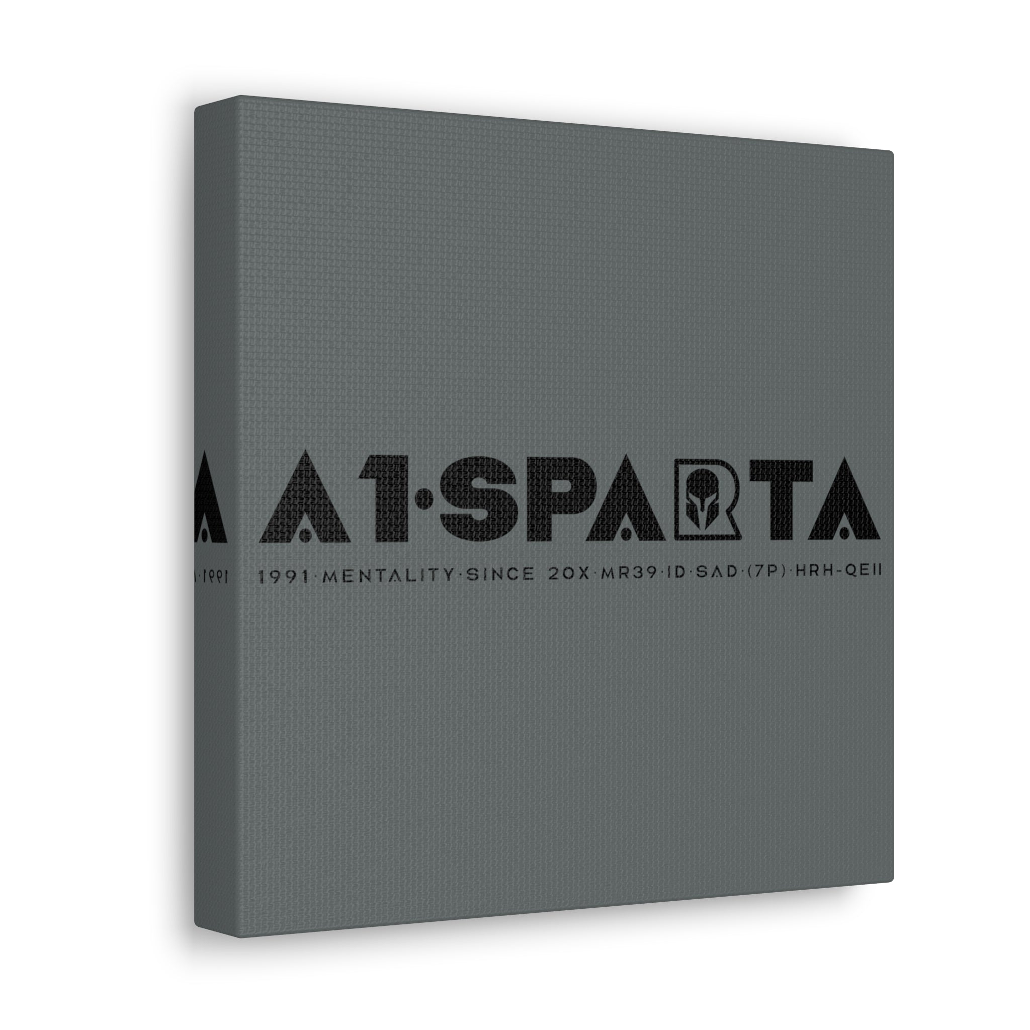 Canvas Gallery Wraps (A1•SPARTA RANGE)