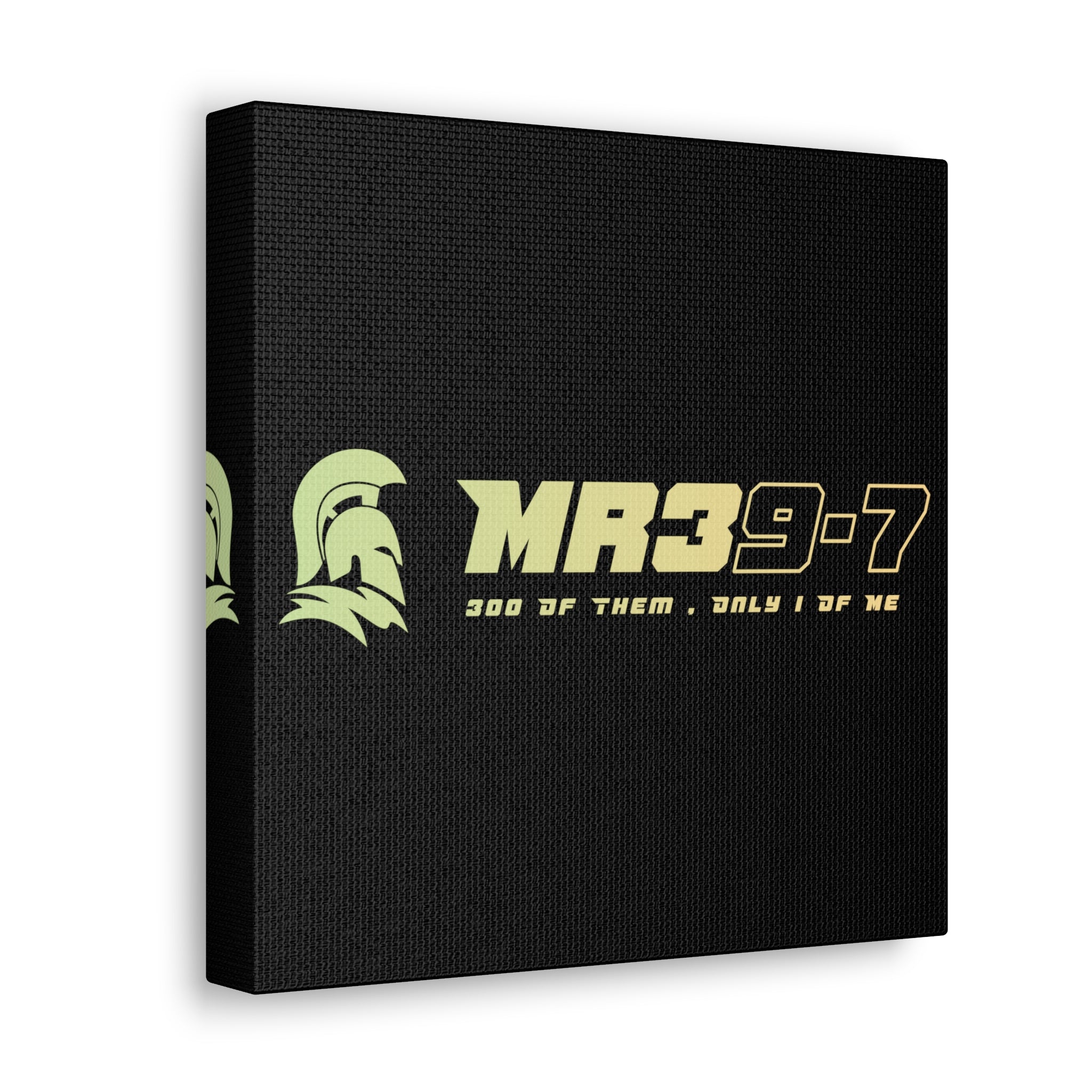 Canvas Gallery Wraps (A1•SPARTA RANGE)