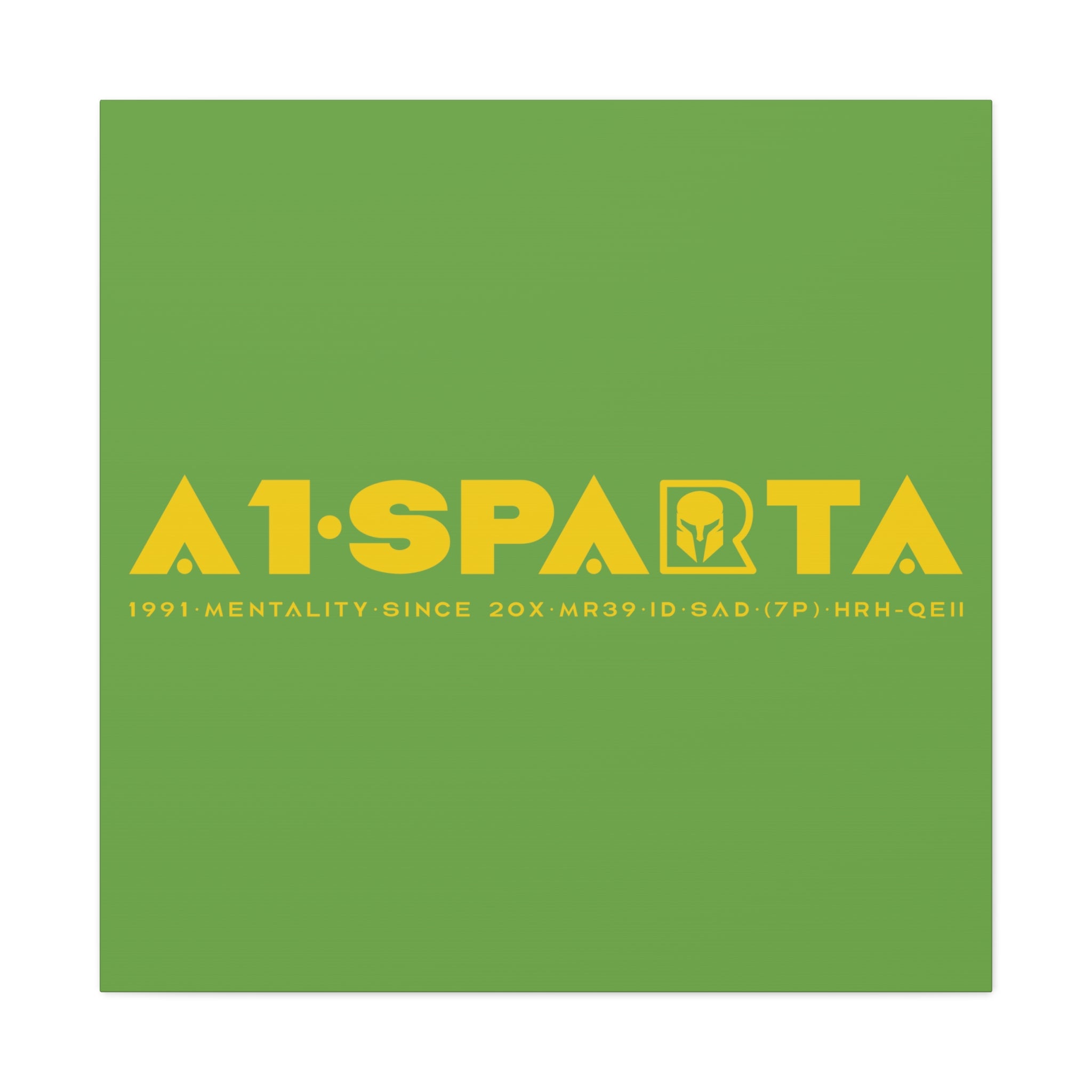 Canvas Gallery Wraps (A1•SPARTA RANGE)