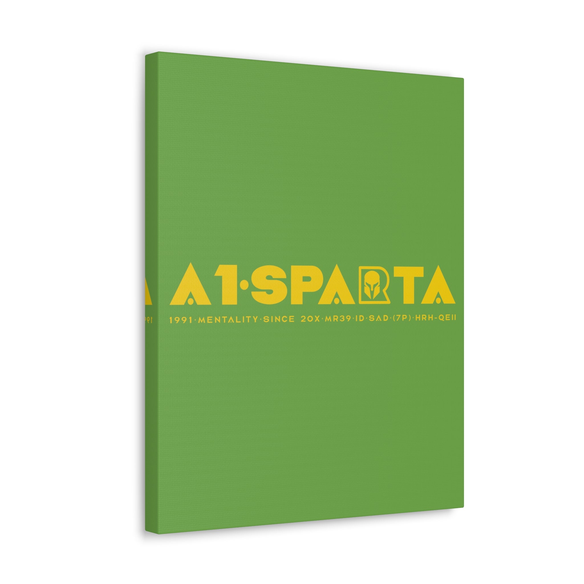 Canvas Gallery Wraps (A1•SPARTA RANGE)