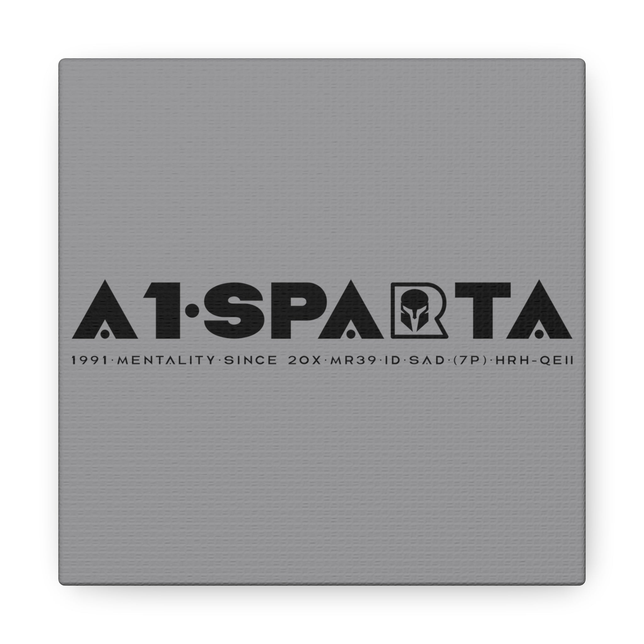 Canvas Gallery Wraps (A1•SPARTA RANGE)