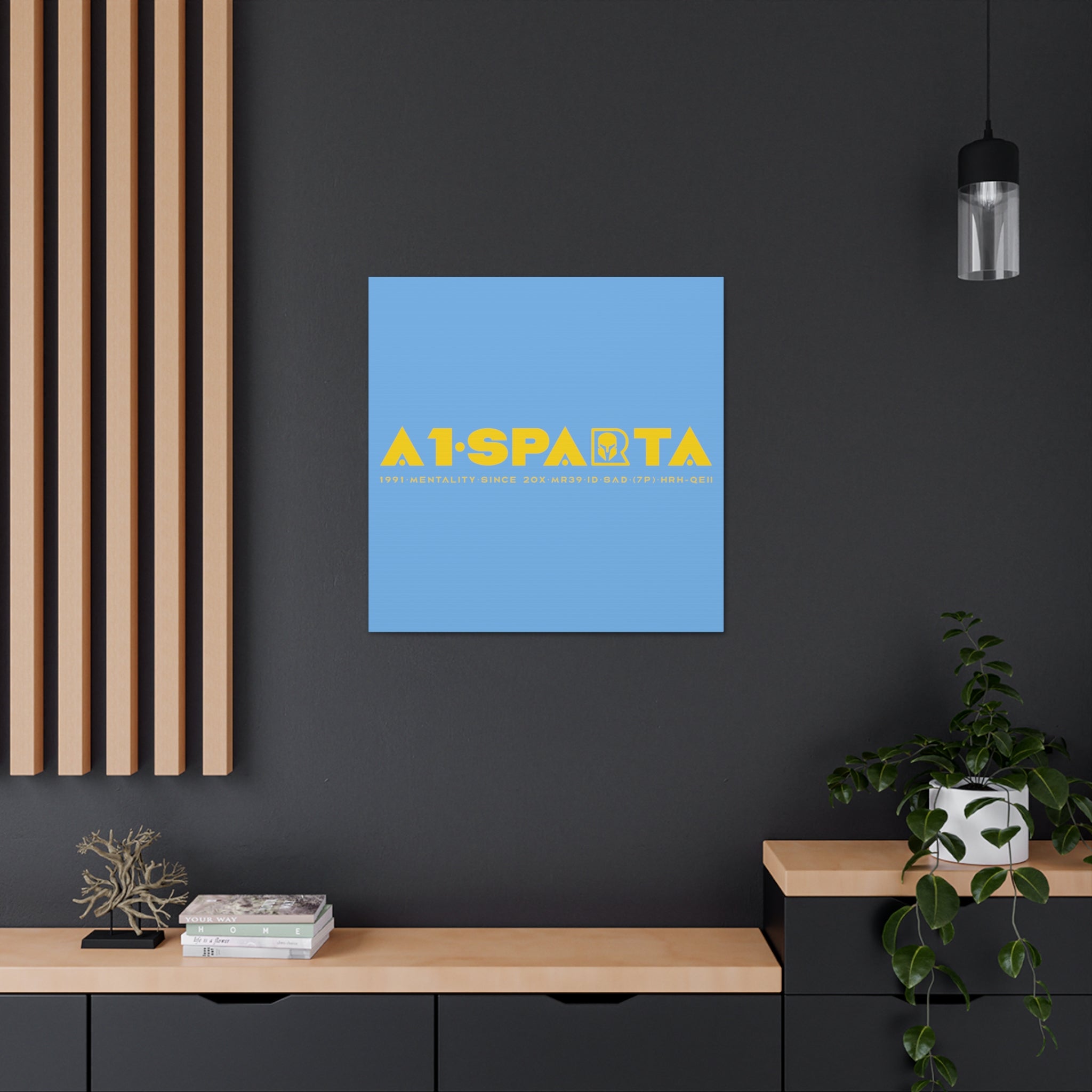 Canvas Gallery Wraps (A1•SPARTA RANGE)