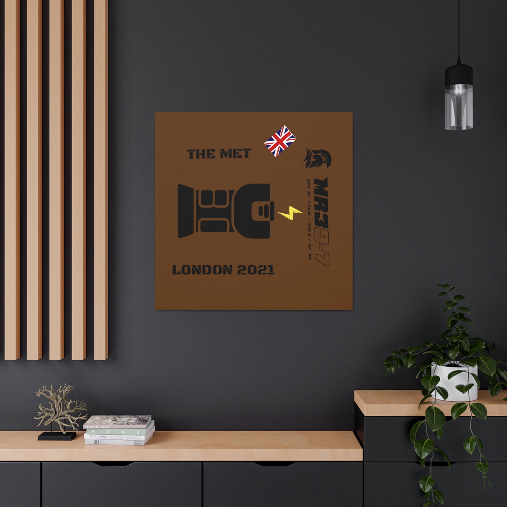 Canvas Gallery Wraps MR 39 Tasered by The MET 2021