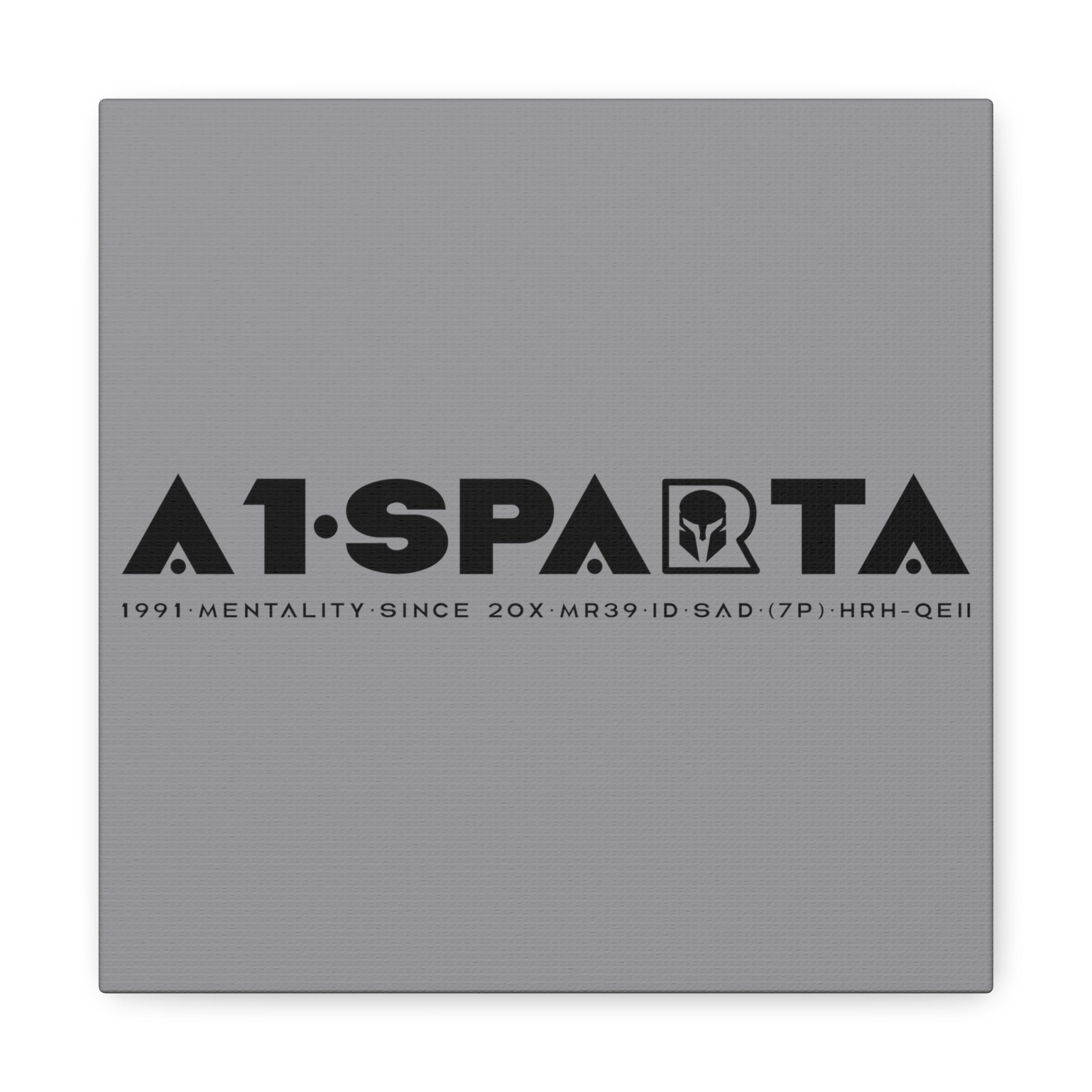 Canvas Gallery Wraps (A1•SPARTA RANGE)