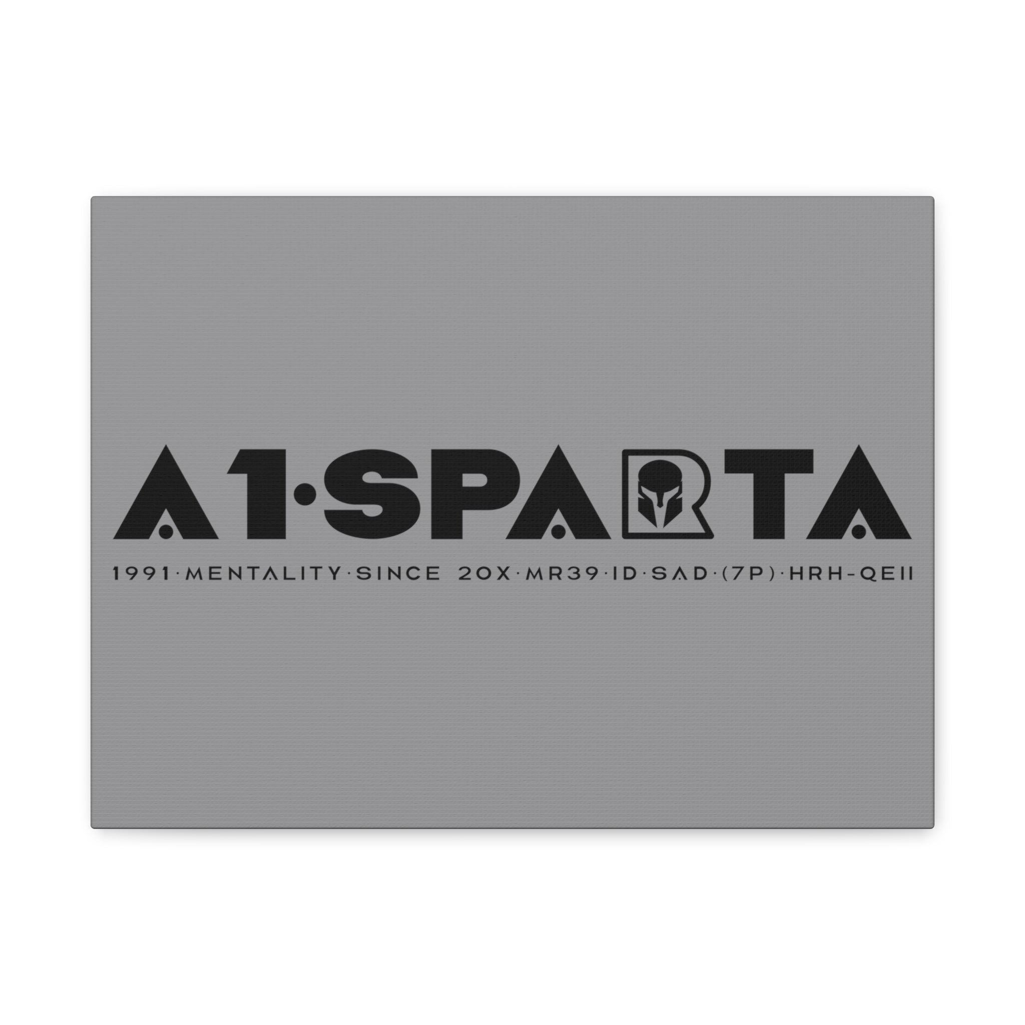 Canvas Gallery Wraps (A1•SPARTA RANGE)