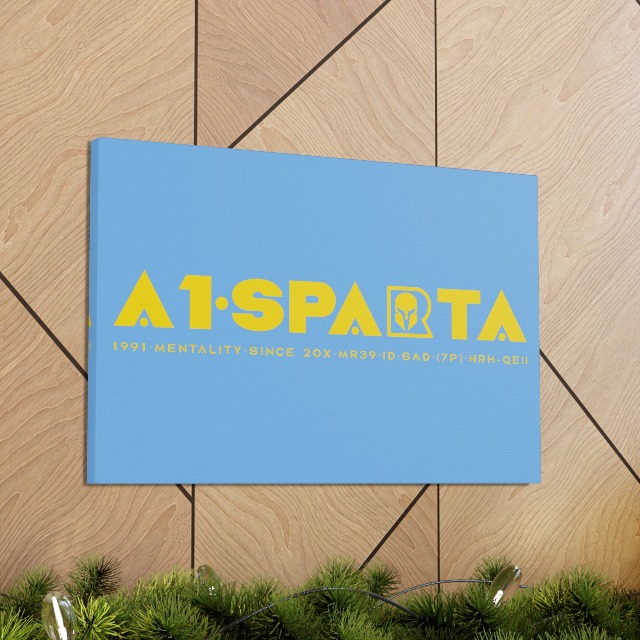 Canvas Gallery Wraps (A1•SPARTA RANGE)