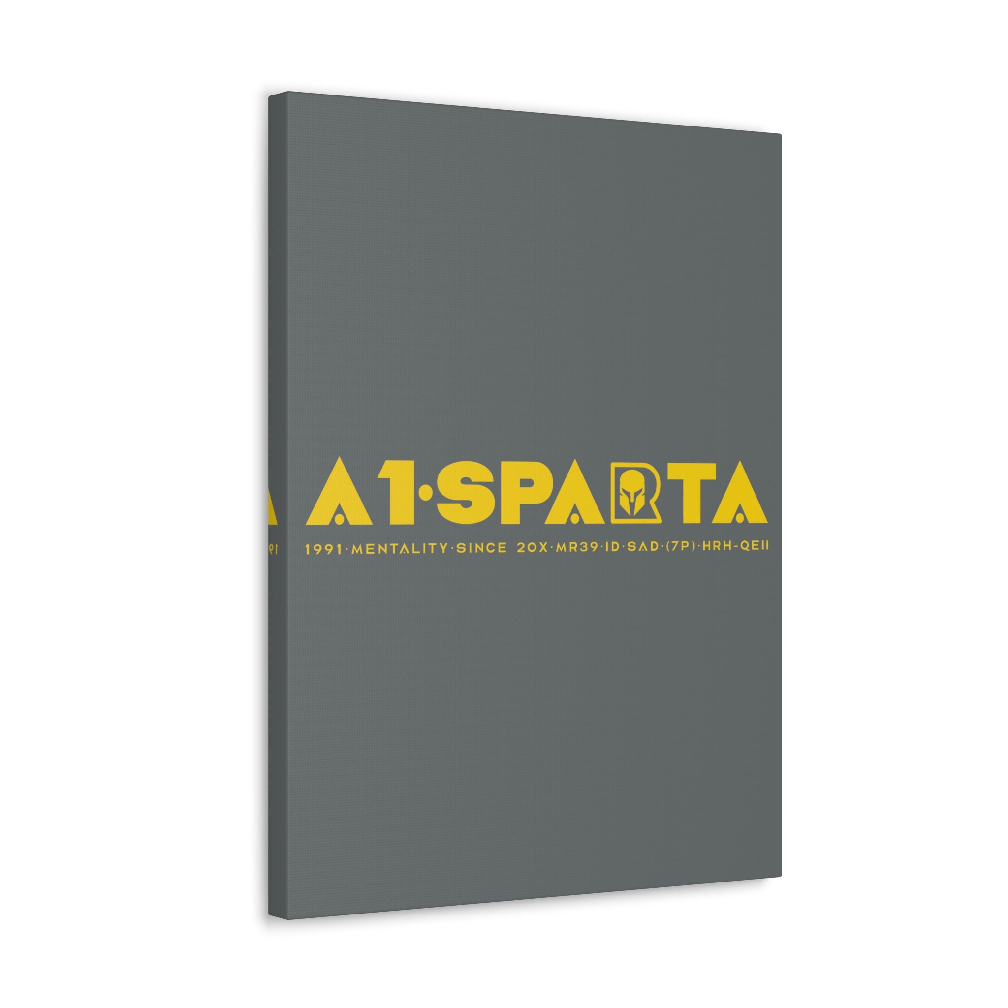 Canvas Gallery Wraps (A1•SPARTA RANGE)