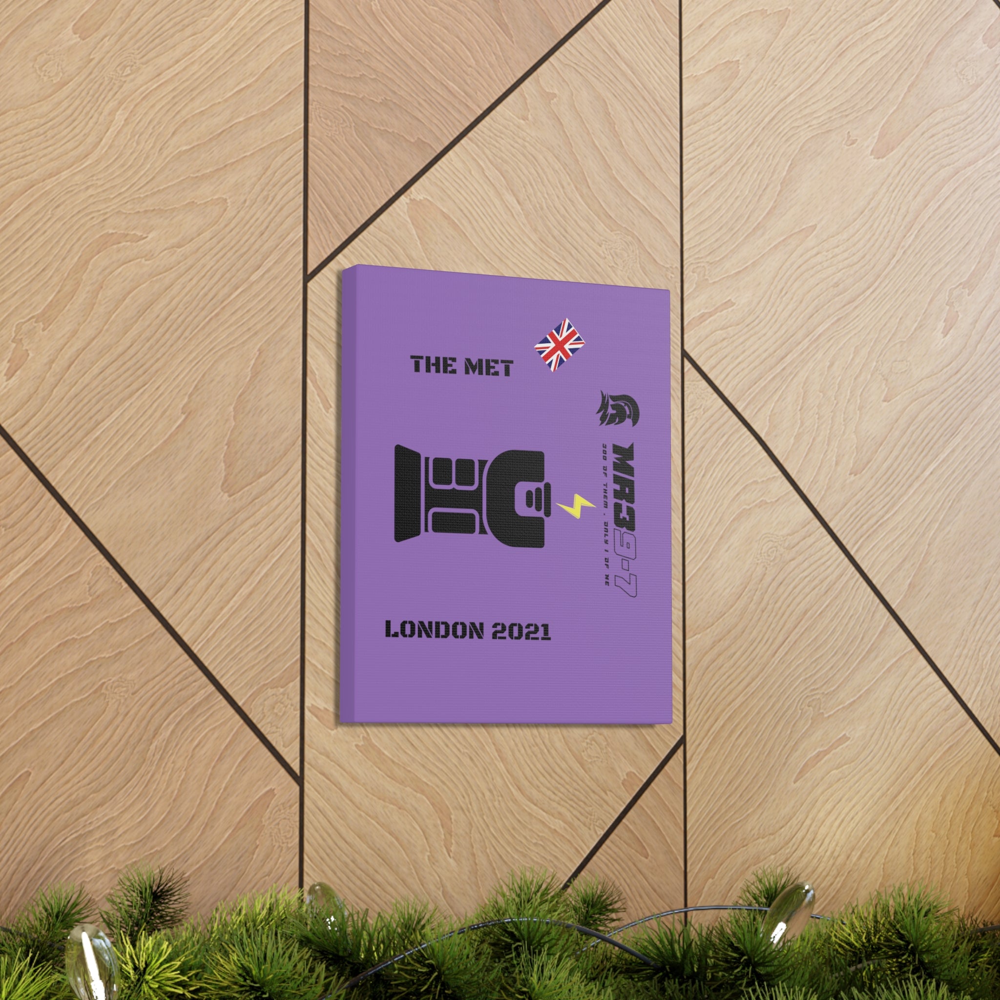 Copy of Canvas Gallery Wraps MR 39 Tasered by The MET 2021