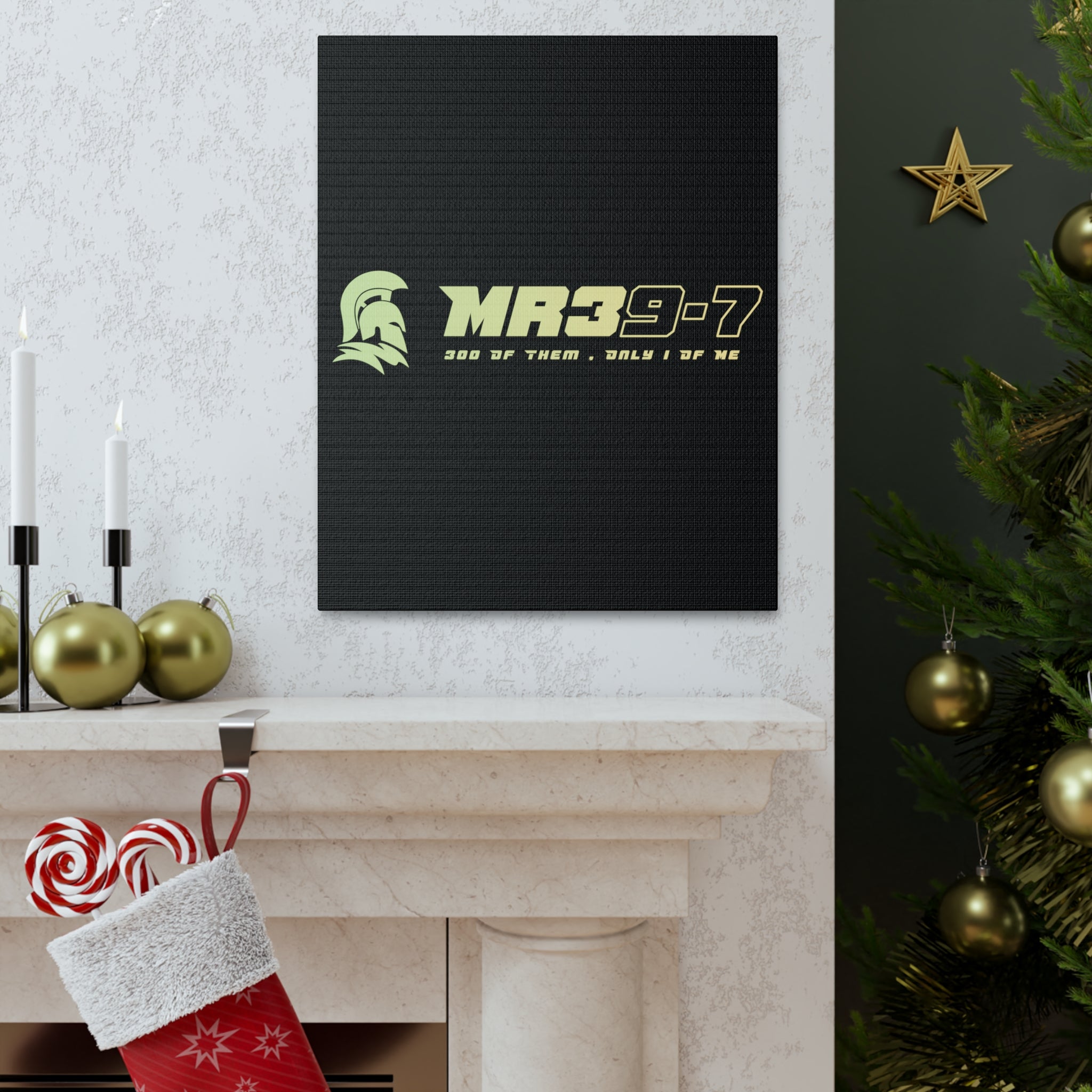 Canvas Gallery Wraps (A1•SPARTA RANGE)