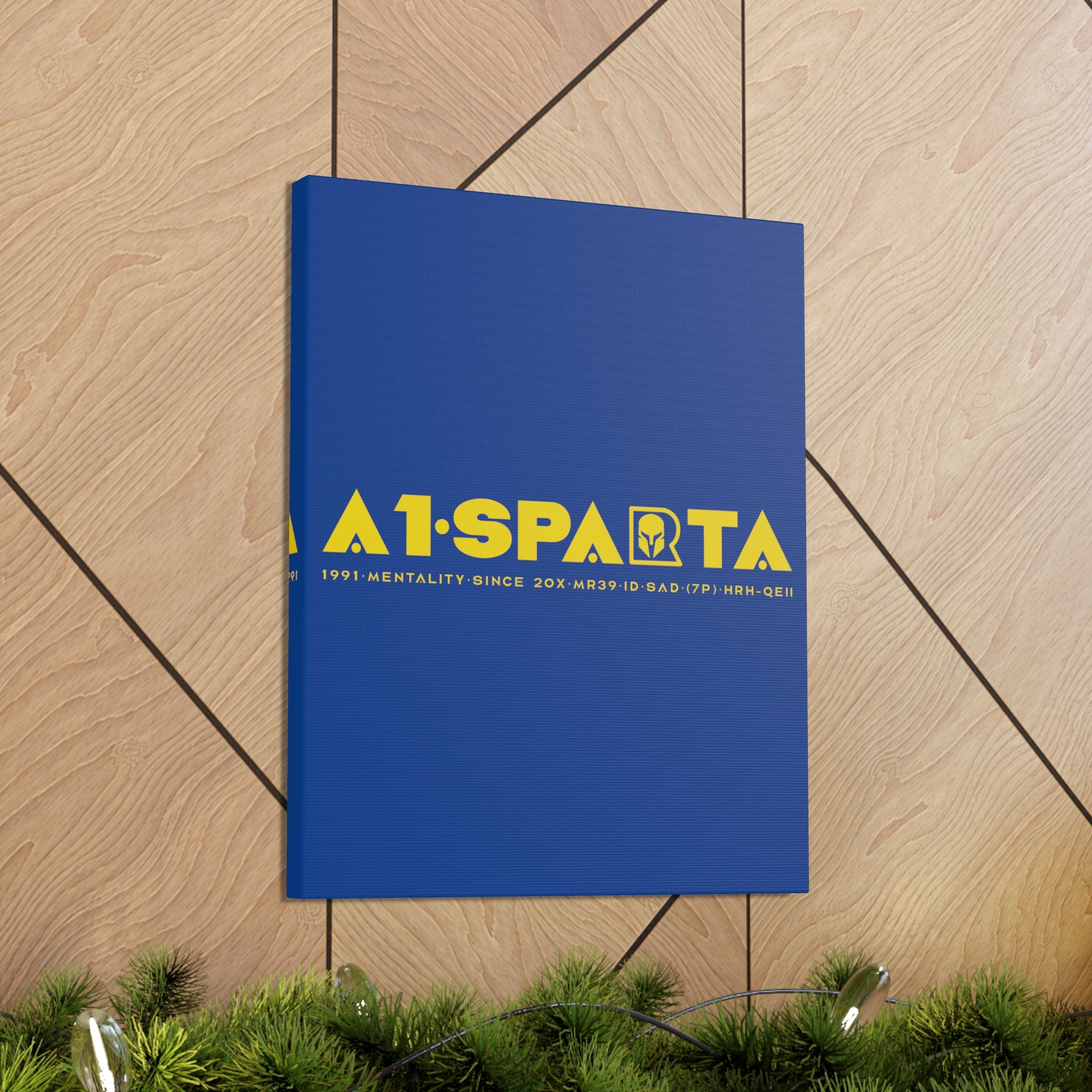 Canvas Gallery Wraps (A1•SPARTA RANGE)